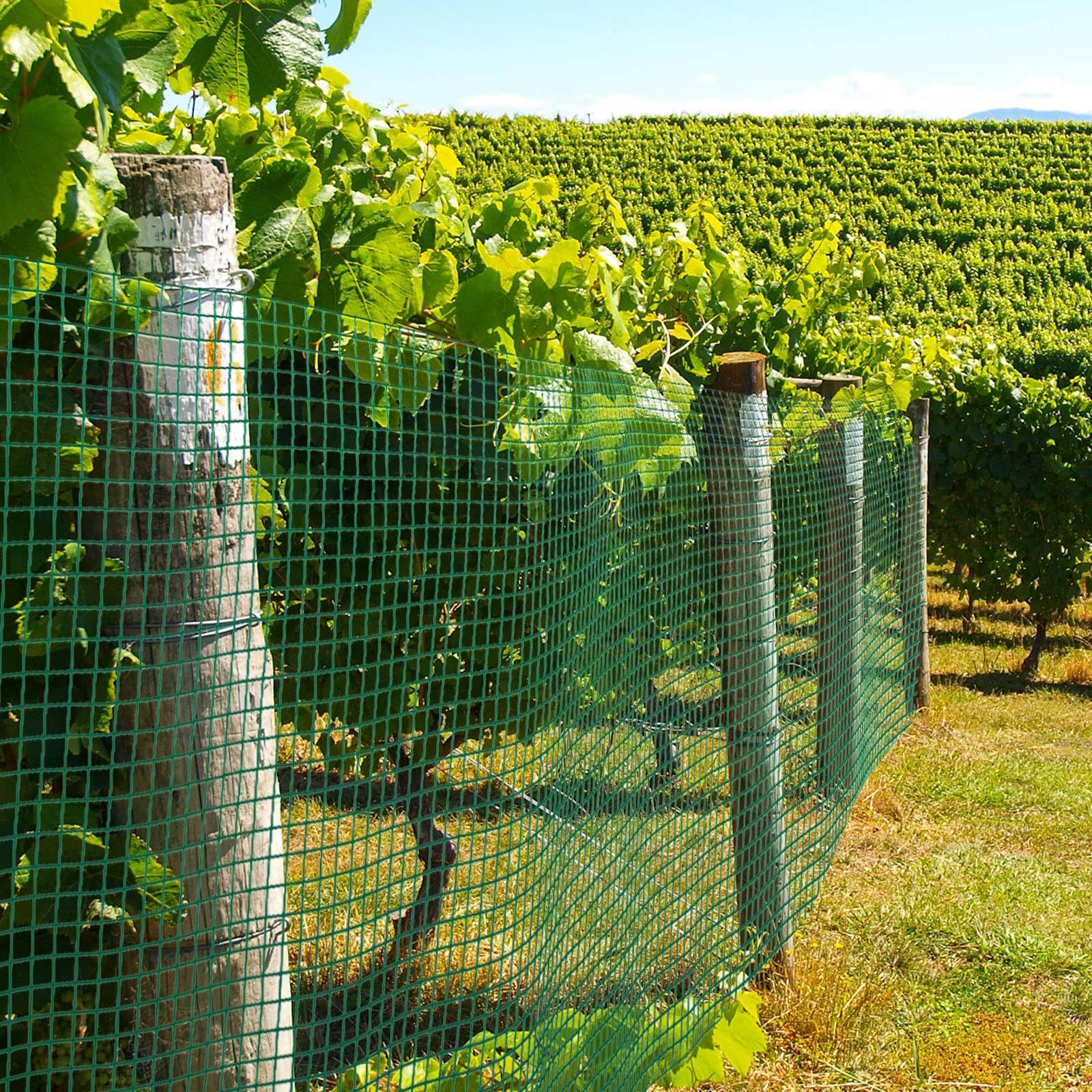 Grillage à Poules Vert Triple Torsion - Maille Hexagonale 25mm - Hauteur 75cm X Longueur 25m - Pour Jardin, Clôture, Enclos