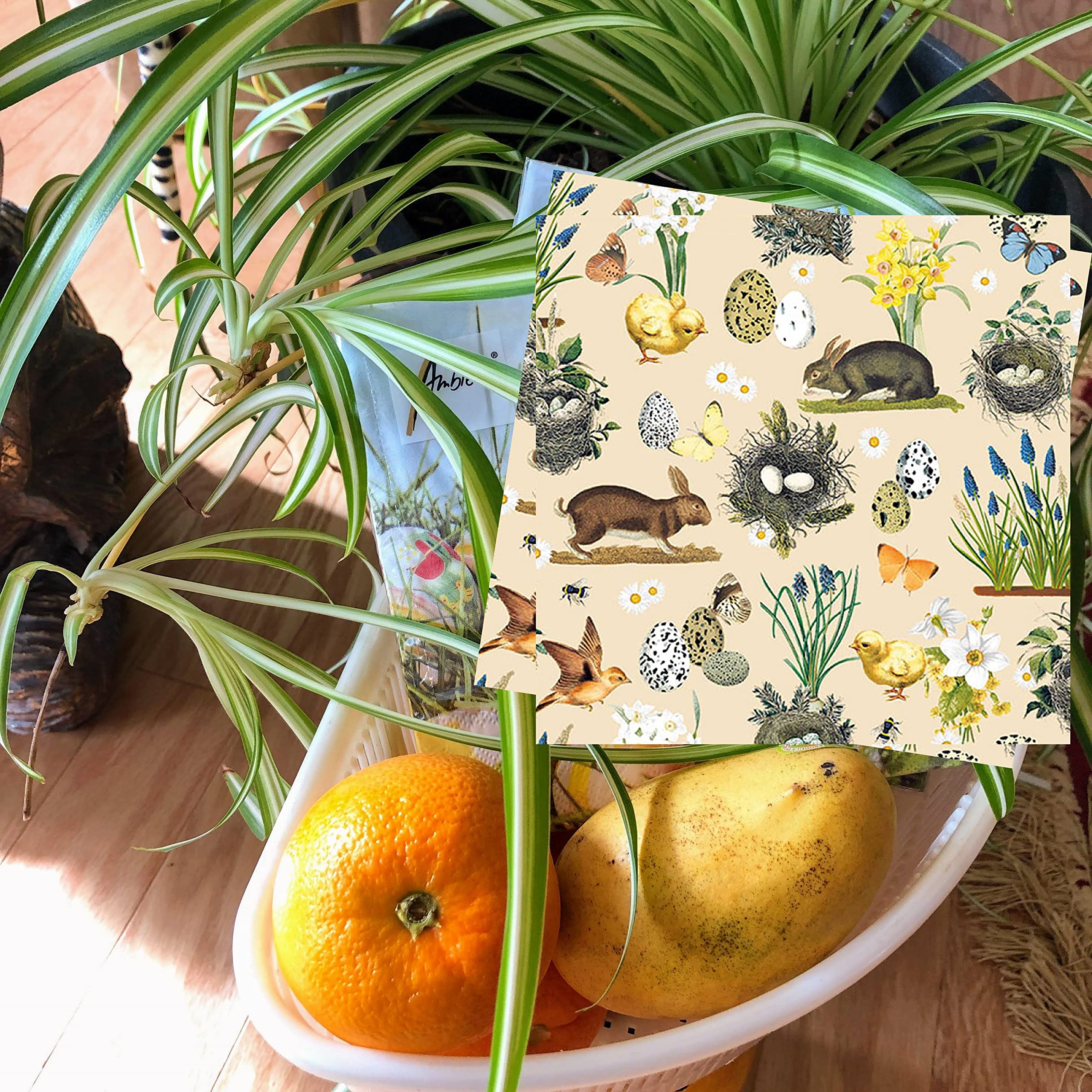 20-ct 6.5 Easter Napkins Easter Bunny Napkins Easter Paper Napkins Easter Cocktail Napkins Decorative Napkins for Decoupage Pretty Easter Beverage Napkins Easter Dinner Lunch Napkins Disposable