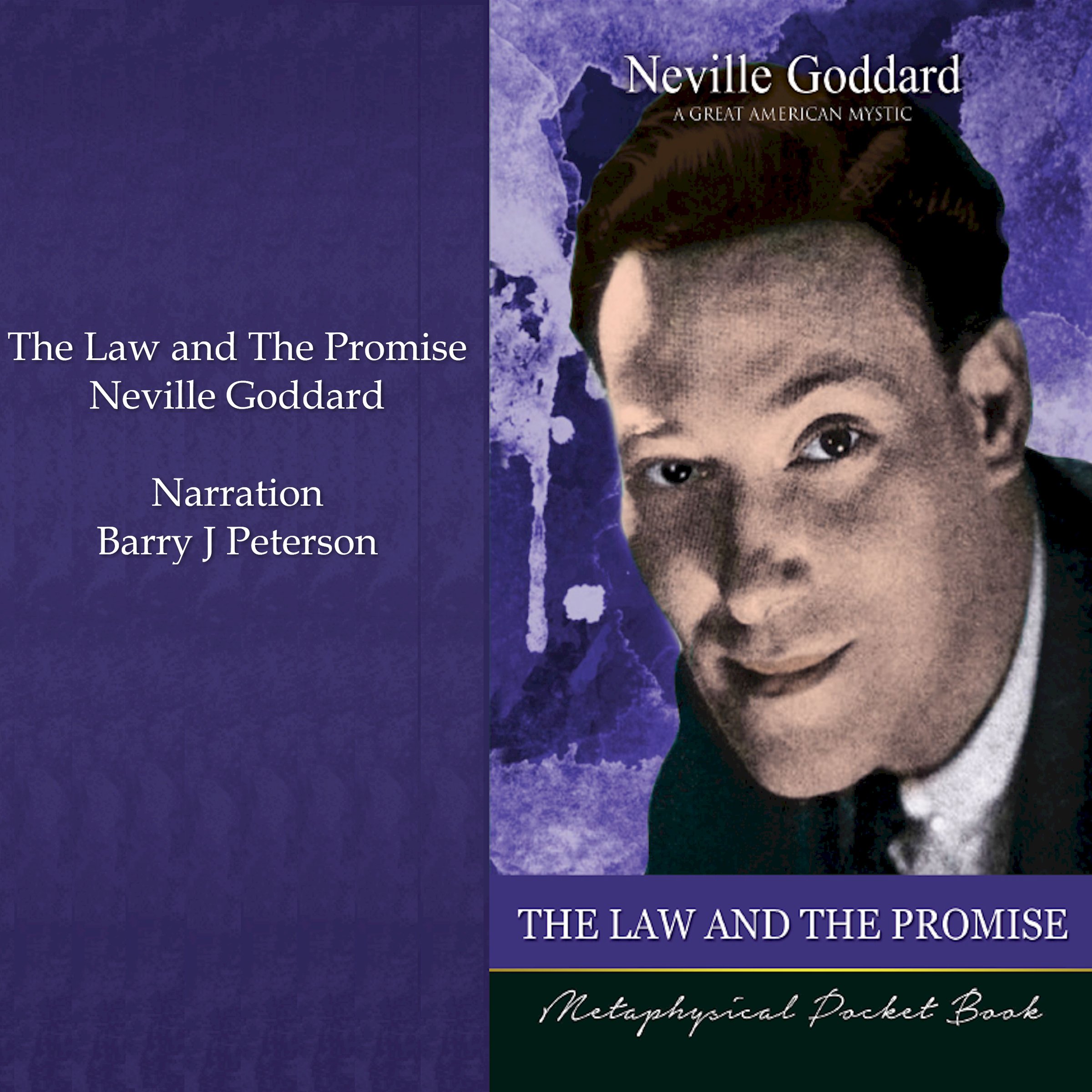 Cover art for The Law and the Promise