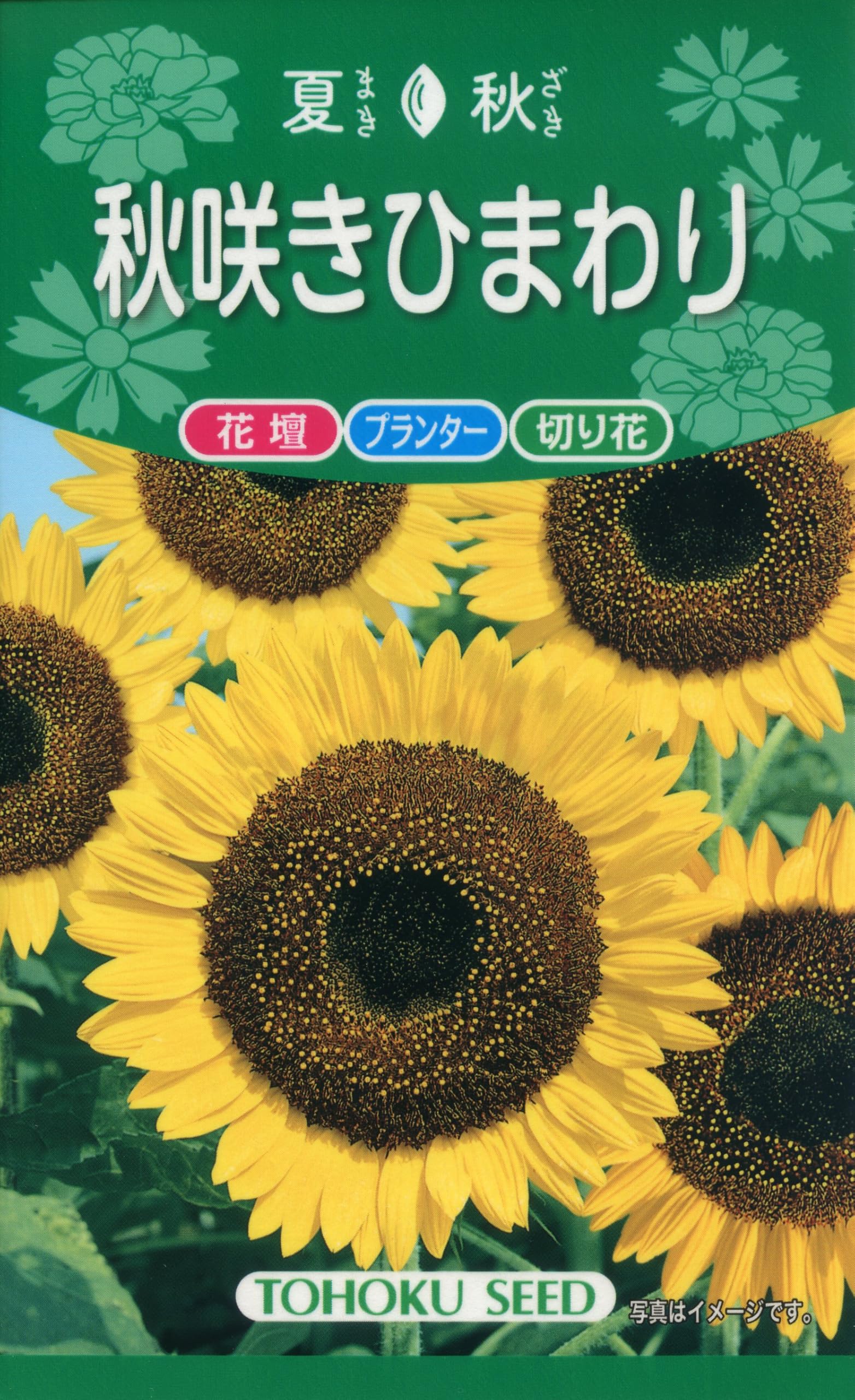 Amazon | 株式会社トーホク 秋咲きひまわり 00739 黄色 | 花