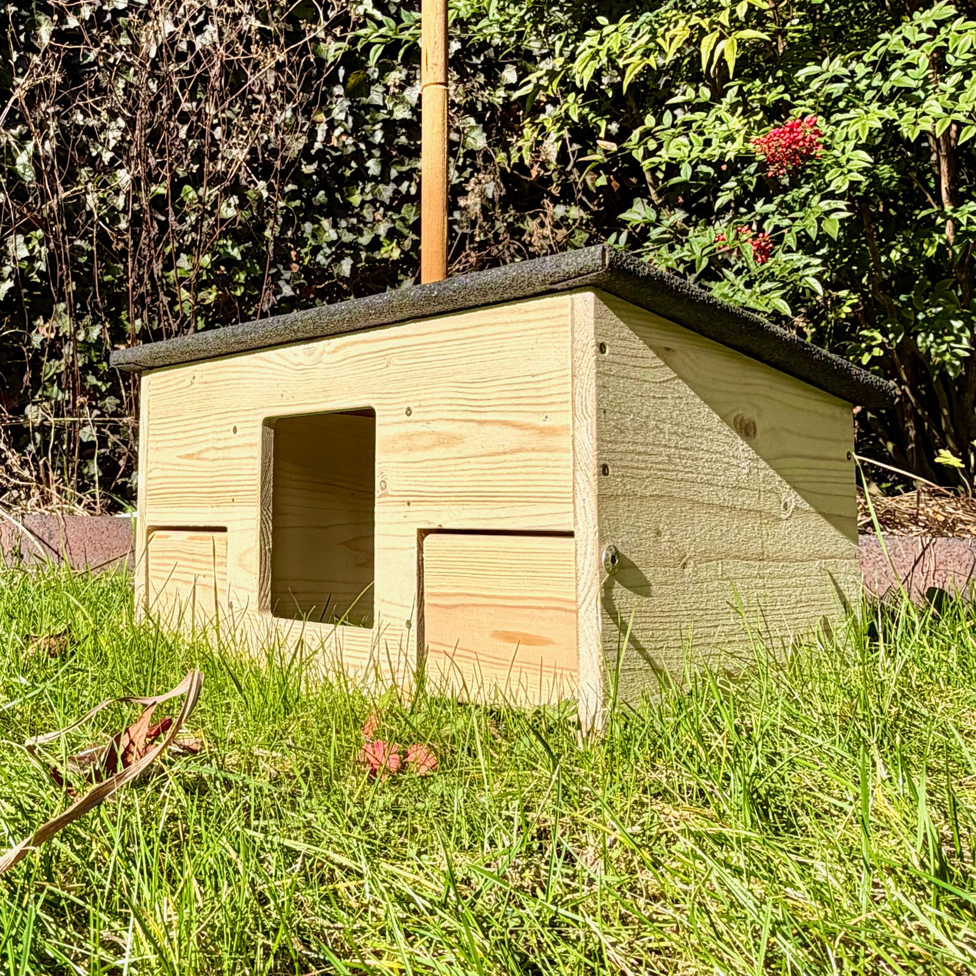 gartenetage Igelfutterhaus mit Beobachtungsfenster & Rattenklappen aus Holz – Sicheres Igelhaus für Garten mit Schleuse, Fluchtweg & Wetterschutz – Robuste Futterstation für Igel ganzjährig