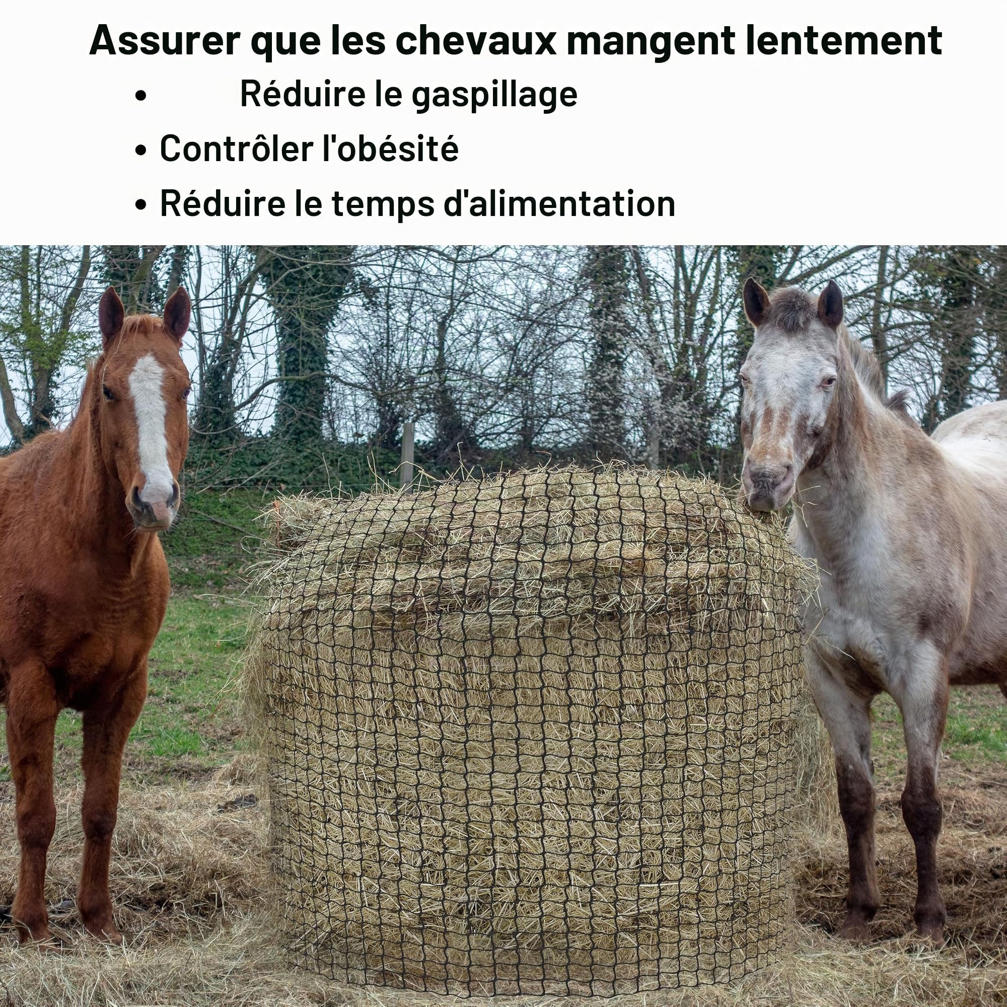 Filet à foin rond - Résistant à l'usure - Pour chevaux - Diamètre : 150 cm - Hauteur : 150 cm - Largeur des mailles : 4,5 x 4,5 cm - Pour prolonger le temps de nourriture des chevaux