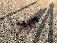 Review Image by Shiang