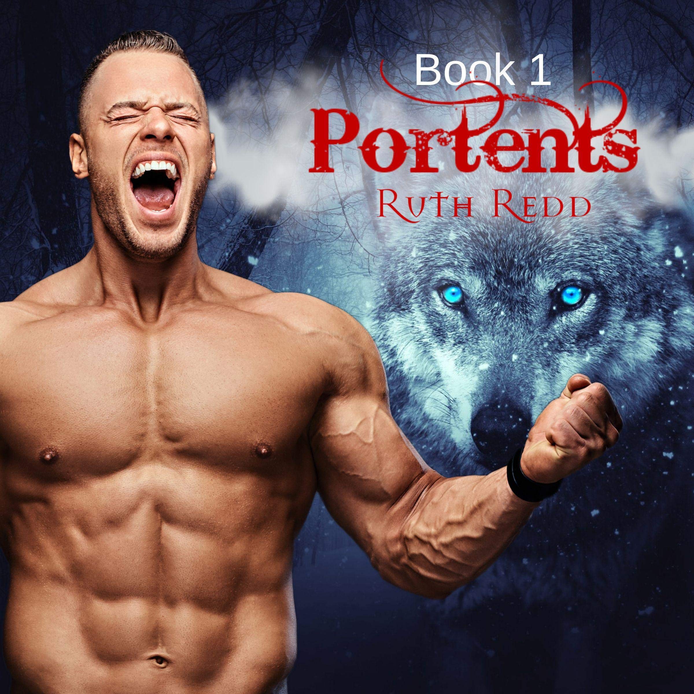 Cover art for Portents