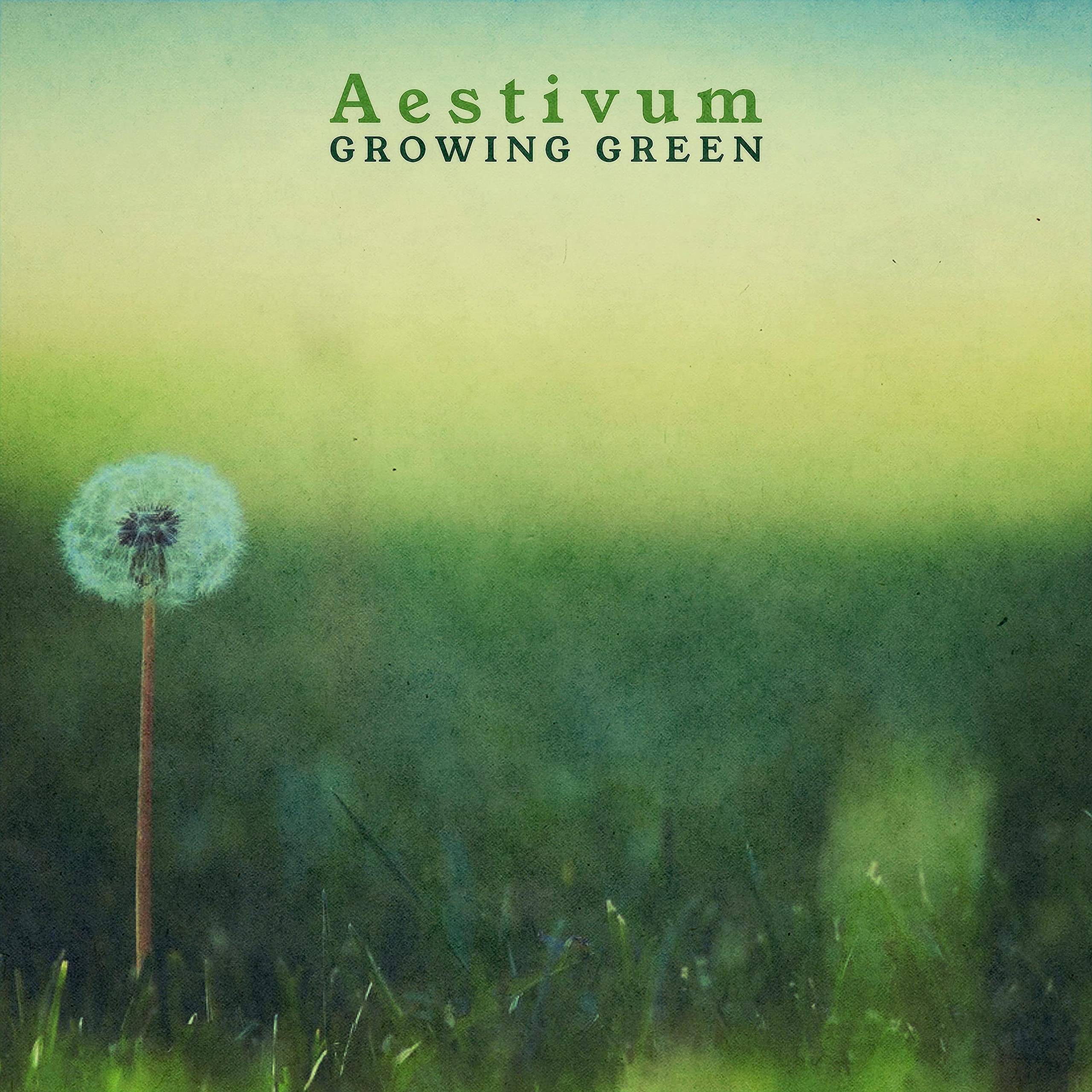 Aestivum