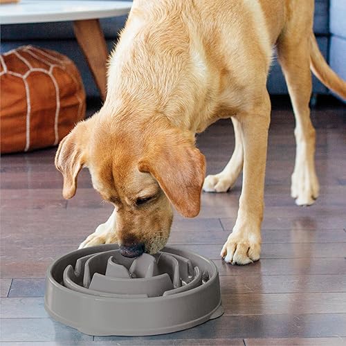 Vista 34 de Outward Hound Fun Feeder Slo Bowl Cuenco para perro de alimentación lenta, tamaño grande/regular, color turquesa
