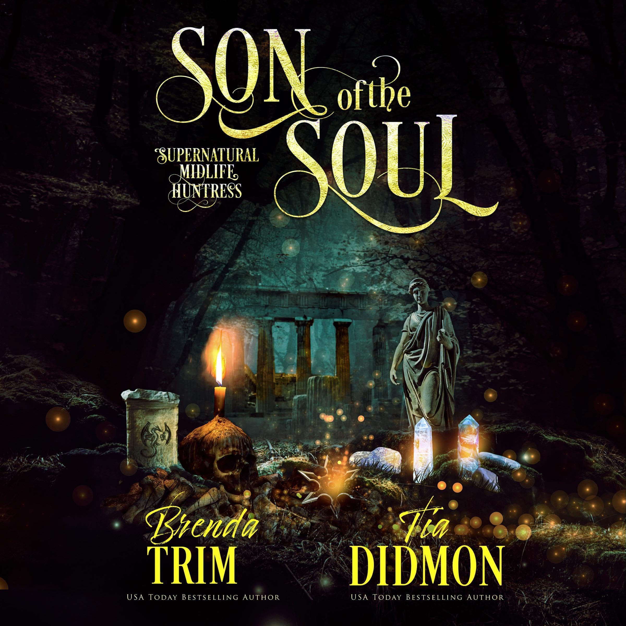 Cover art for Son of the Soul