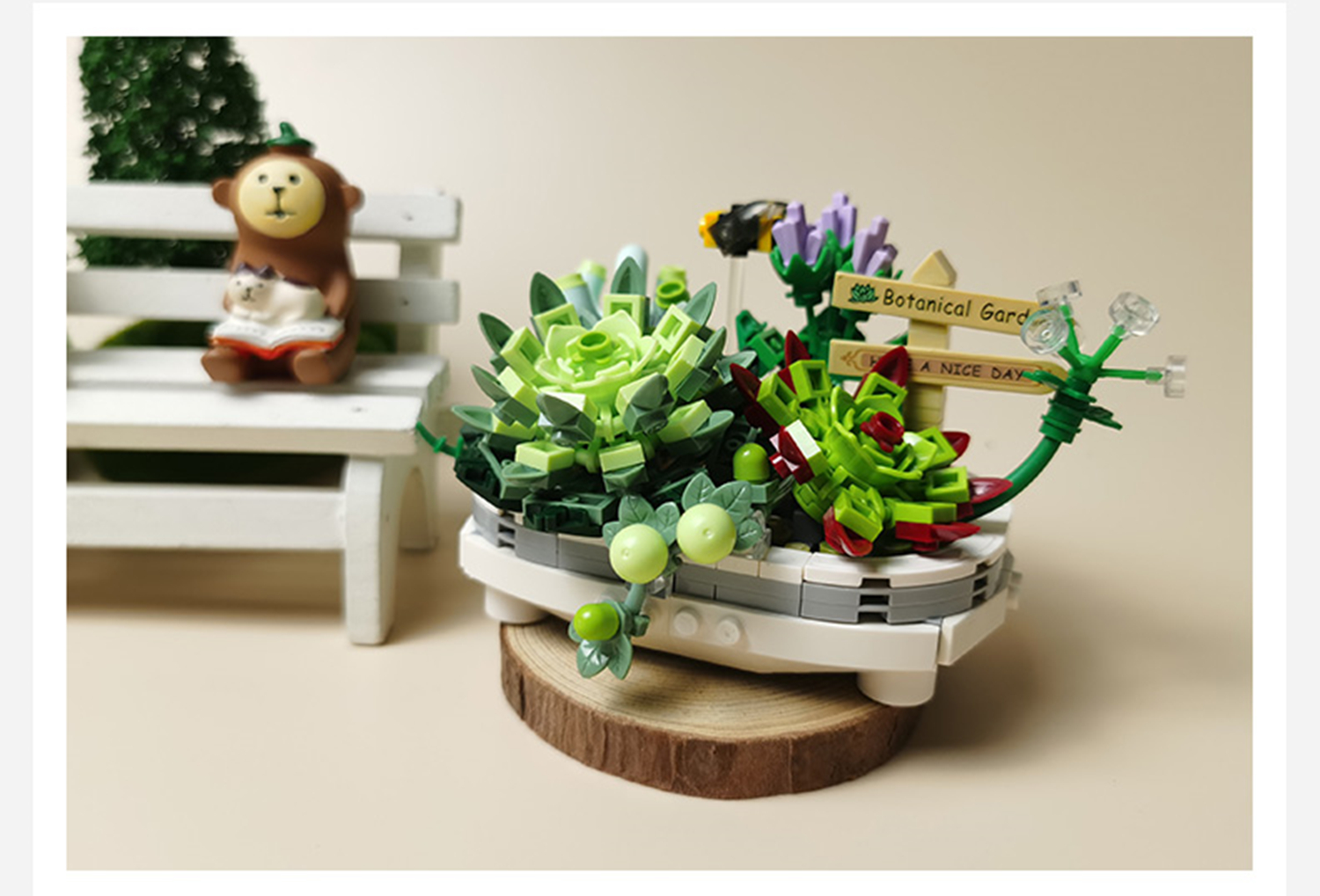 Amazon.com: HIGH GODO Succulent Bonsai Plant Sets, Mini Bricks