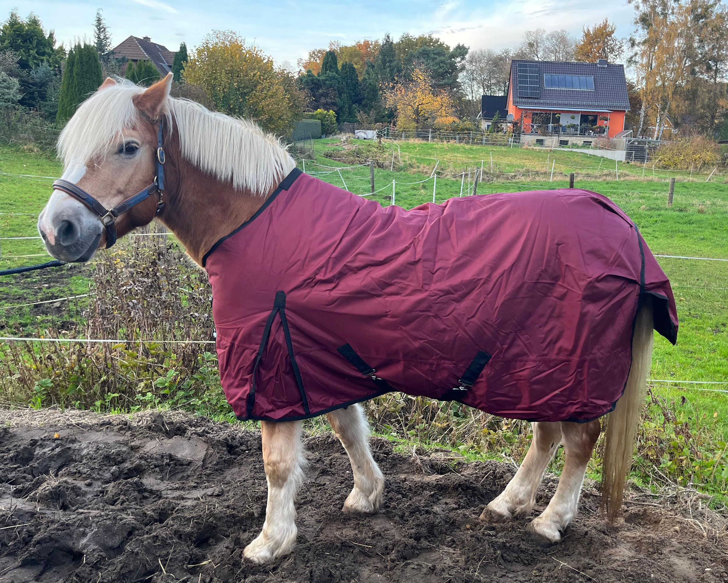 Brama-West Winterdecke Pferd Red Winter | Outdoordecke 1680D - 200g | wasserdichte Pferdedecke | Weinrot (145)