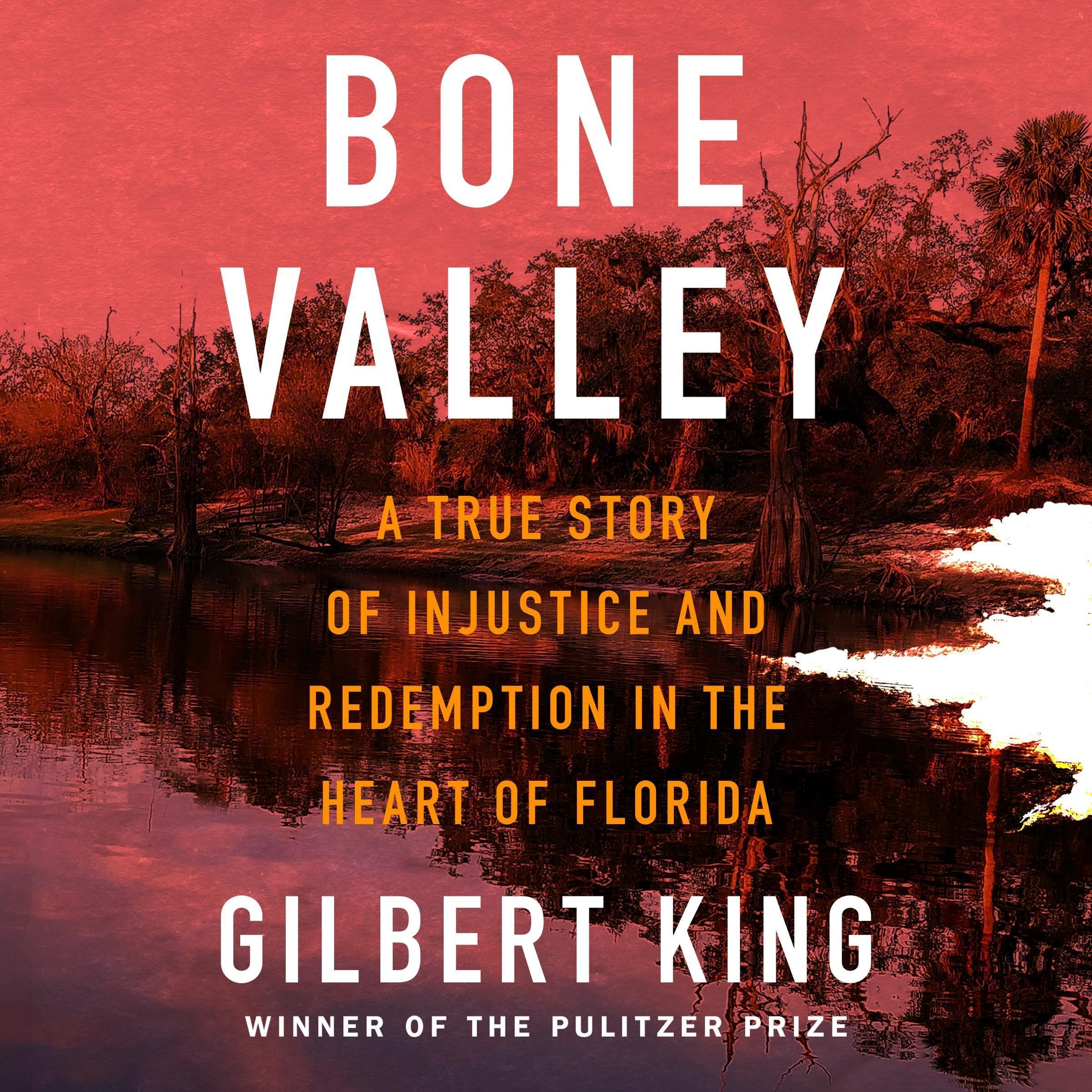 Cover art for Bone Valley