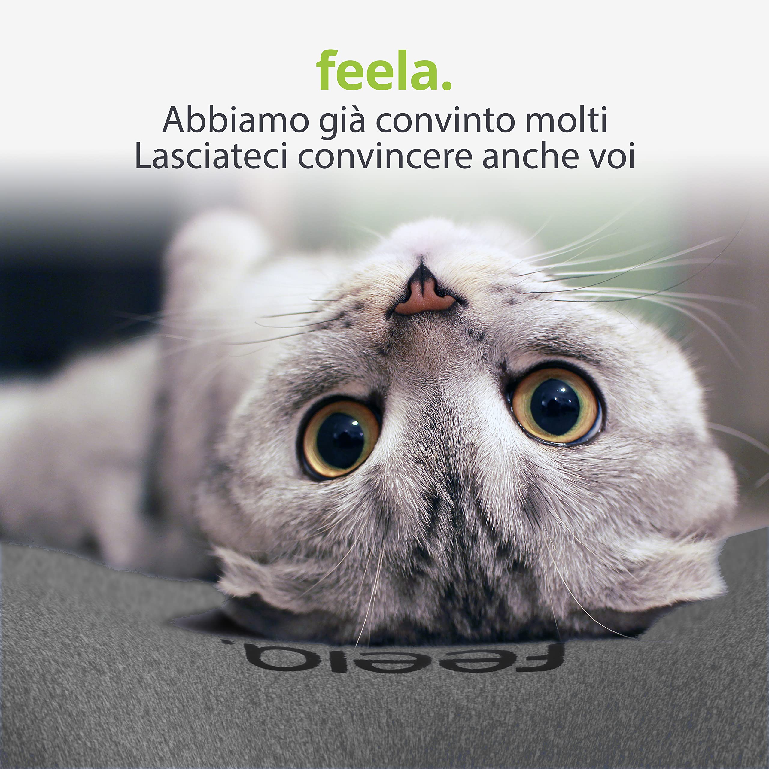 feela.® Cuscino schiena ergonomico per sedia da ufficio | cuscino lombare come cuscino per sedia per casa, ufficio o supporto per la schiena in casa ufficio (Grigio Scuro)