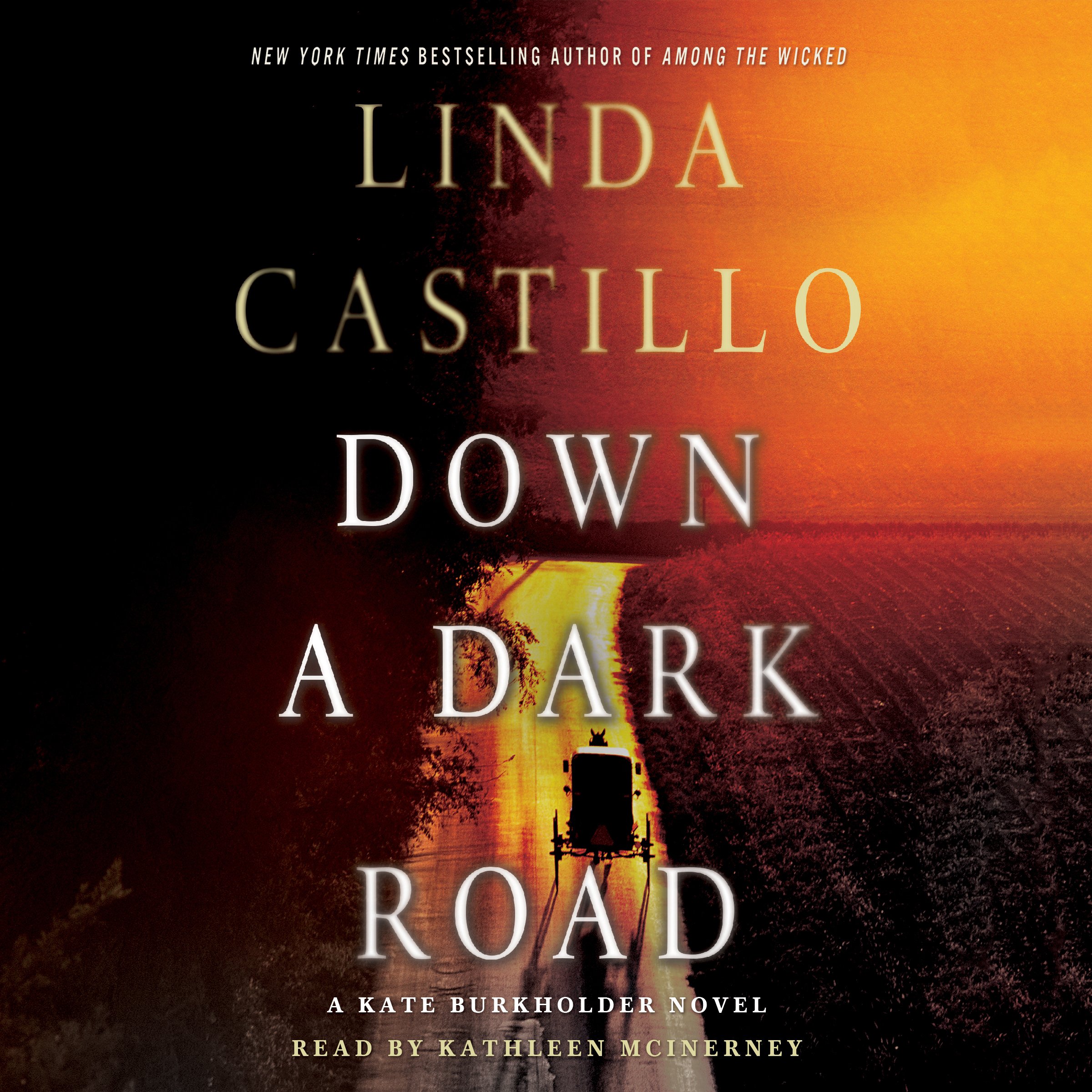 Cover art for Down a Dark Road