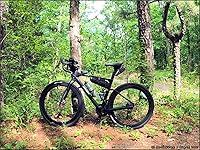 Review Image by Paul Ruff Paul Ruff