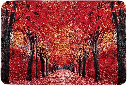 Bathroom Rugs 18x30 Inch Area Rug for Bedroom Decor, Absorbent Low Profile Outdoor Rug Home Decor Kitchen Rugs Carpet, Autumn Thanksgiving Romantic