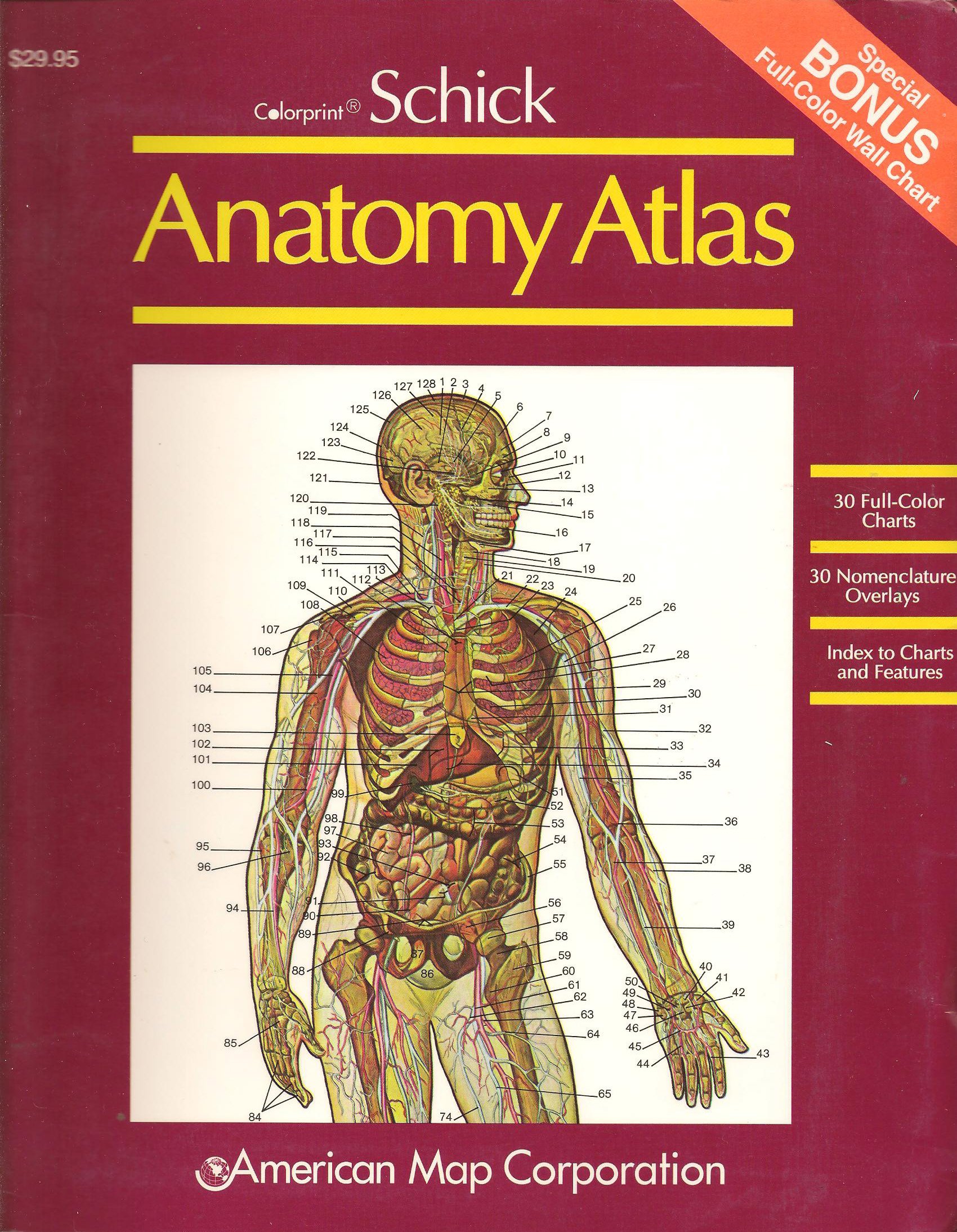 Anatomy Atlas (With Full-Color Wall Chart)