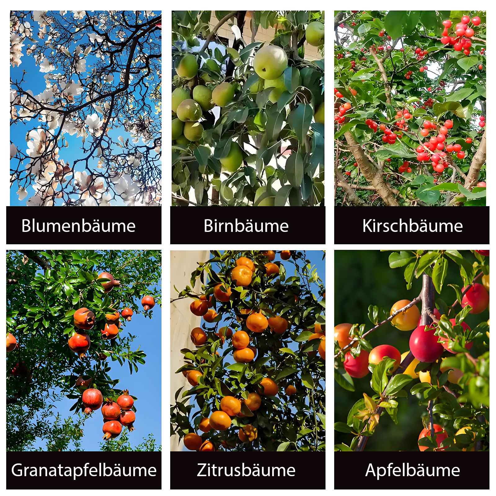 VEGCOO 38 Stück Astspreizer,Astspreizer Für Obstbäume,Zweigspreize Für Gartenbäume,Geeignet Für Apfel,Birnen,Pfirsich,Pflaumen Und Kirschbäume (M8-10 Stück,M10-12 Stück,M13-16 Stück)