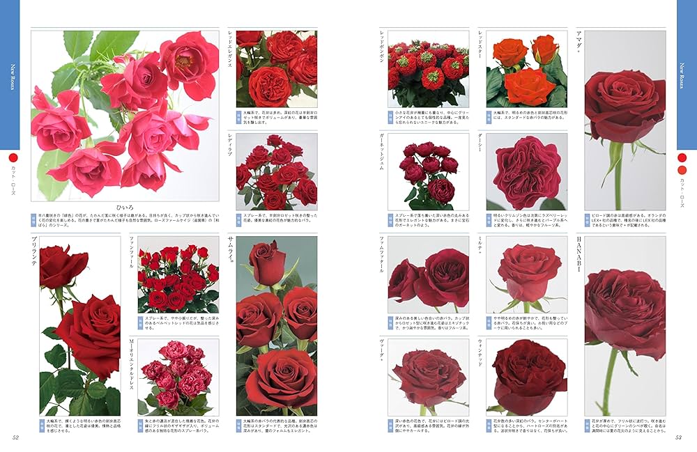 【今だけ価格！】 特大芸術写真  A2サイズ バラ 薔薇 ROSE 額付 バラのギフトフラワー - K's flower novo