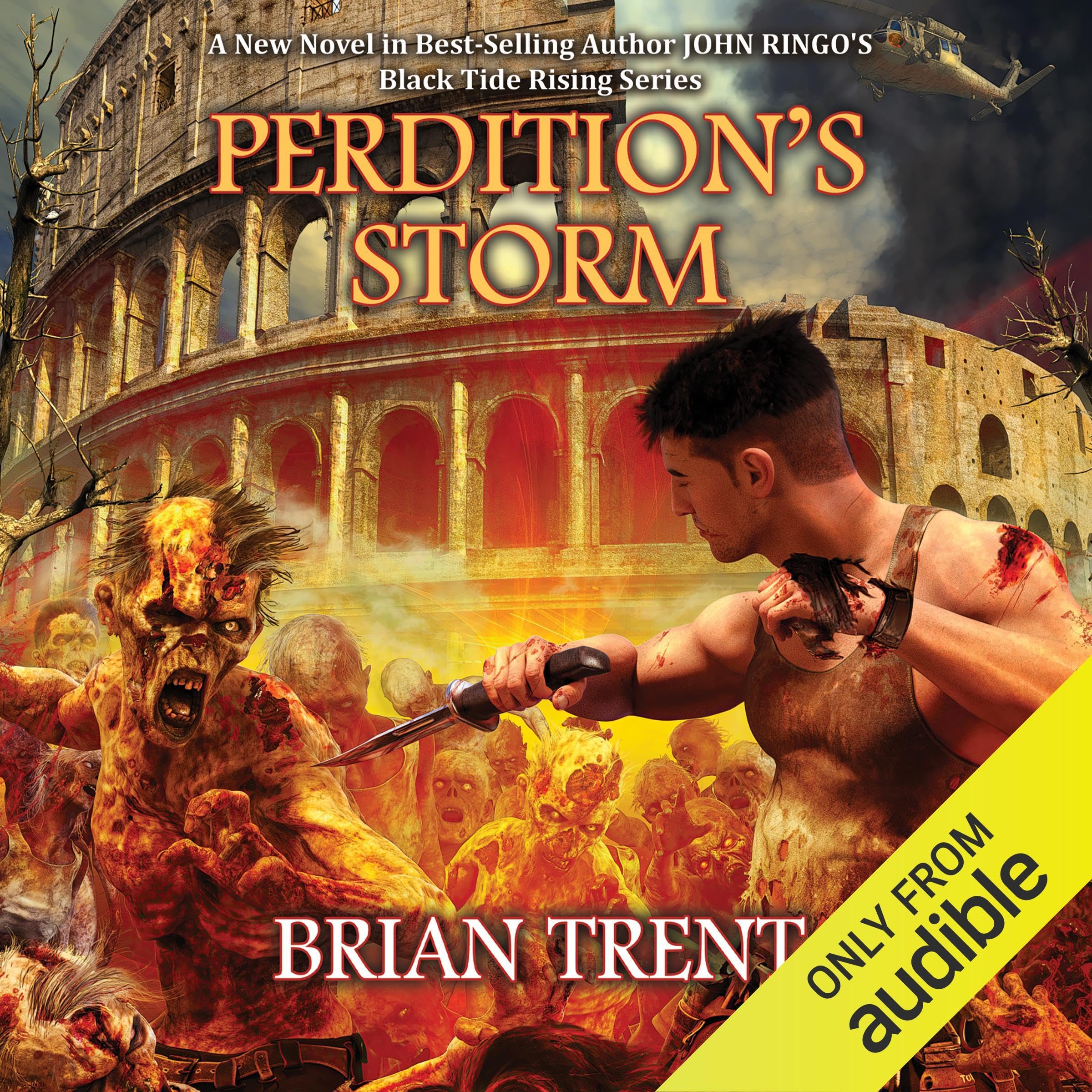 Cover art for Perdition's Storm