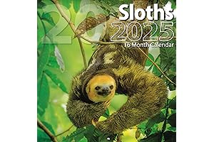 Bachmann Press 2022 Sloths Full-Size Wall Calendar for Planning, Scheduling, and Organizing