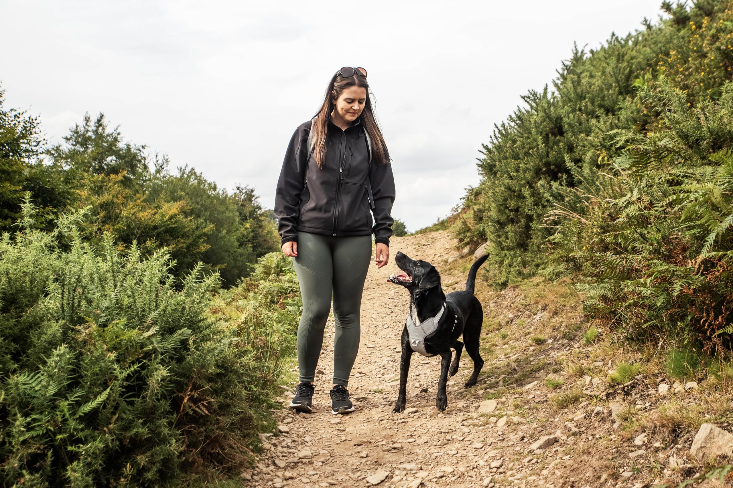 Mountain Paws Arnés para Perro, para Adaptarse a tamaños de Pecho de 45 a 108 cm, Acolchado de Espuma con Ribetes Reflectantes, Reflectante, Extra Grande