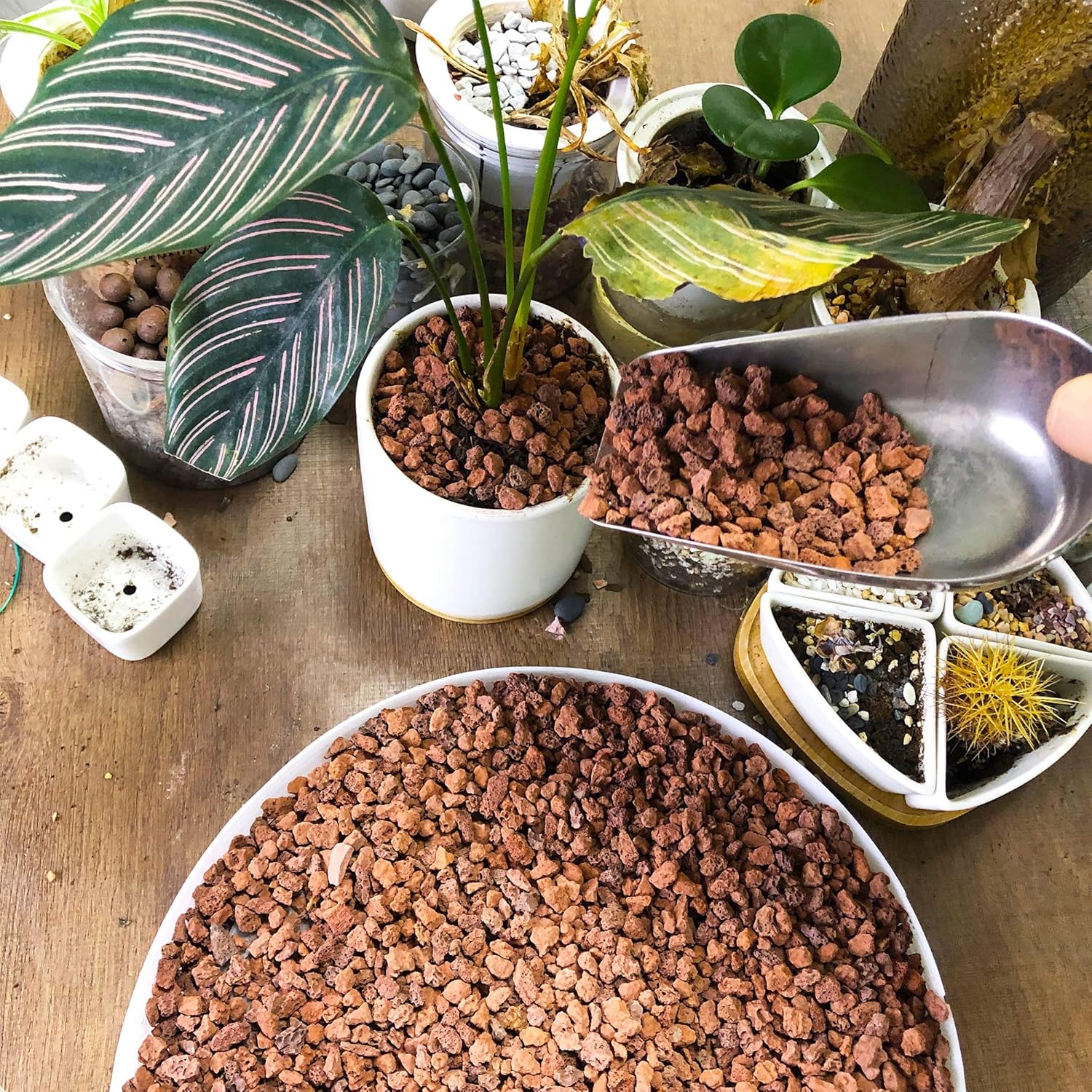 Natural Lava Rocks Granules Decorative Landscaping for Bonsai, Cacti, Succulents Plants, Vase Fillers and Terrarium Plants, 5Lbs - Image 5