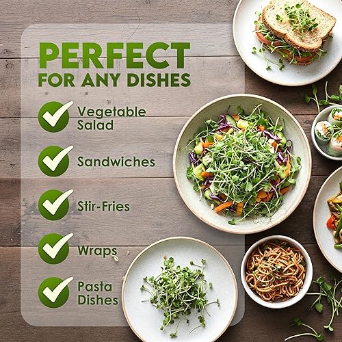 Miniatura 6 de Nature Jims Sprouts Semillas de trébol – Semillas germinantes orgánicas sin OMG para semillas frescas y ricas en nutrientes, llenas de vitaminas,