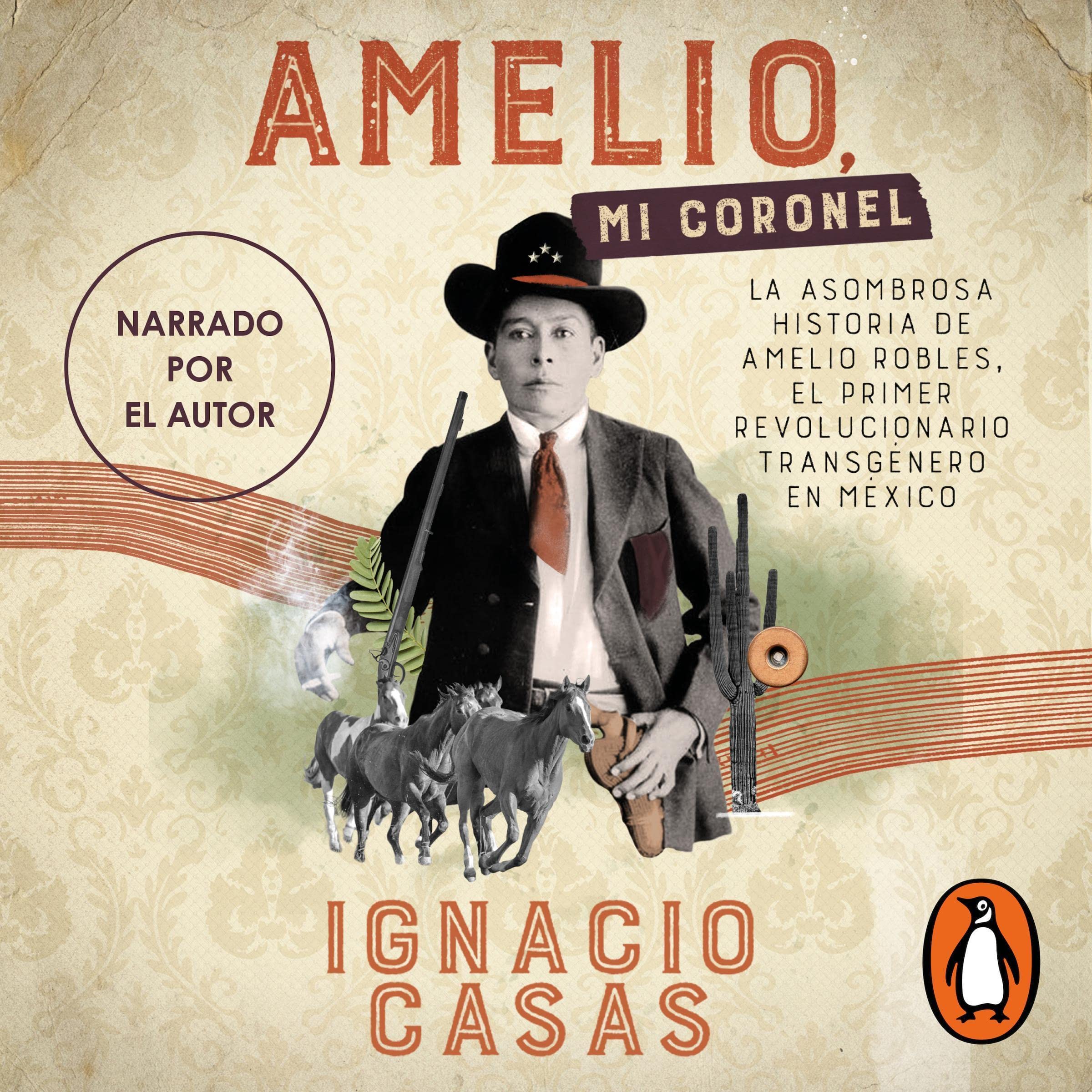 Cover art for Amelio, mi coronel [Amelio, My Colonel]