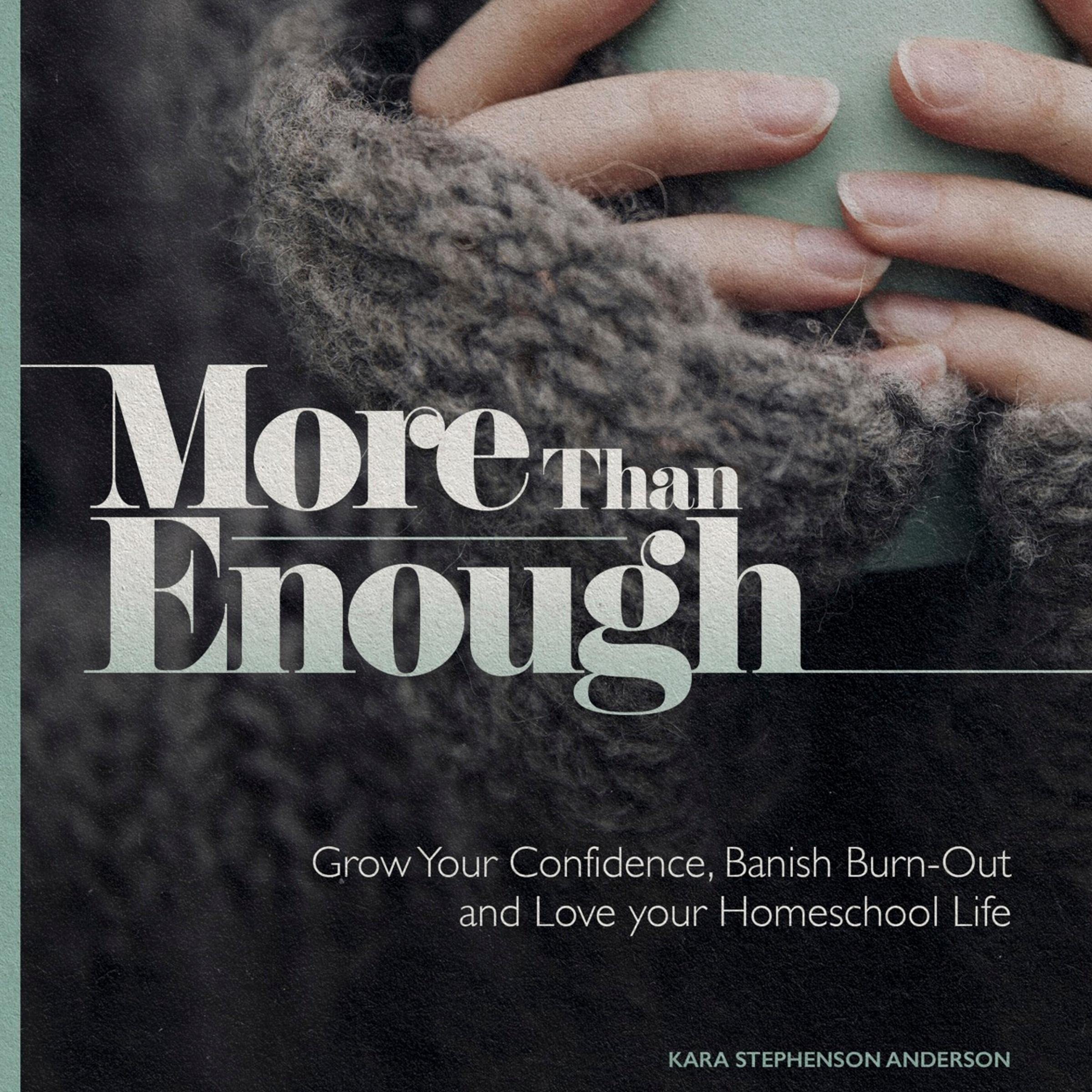 Cover art for More than Enough