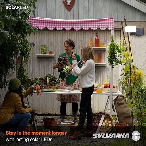 Miniatura 5 de LEDVANCE Sylvania 62409 - Foco de pared solar de seguridad con sensor PIR, LED y batería incluida, 400 lm, 5000 K, luz diurna, acabado blanco, 1