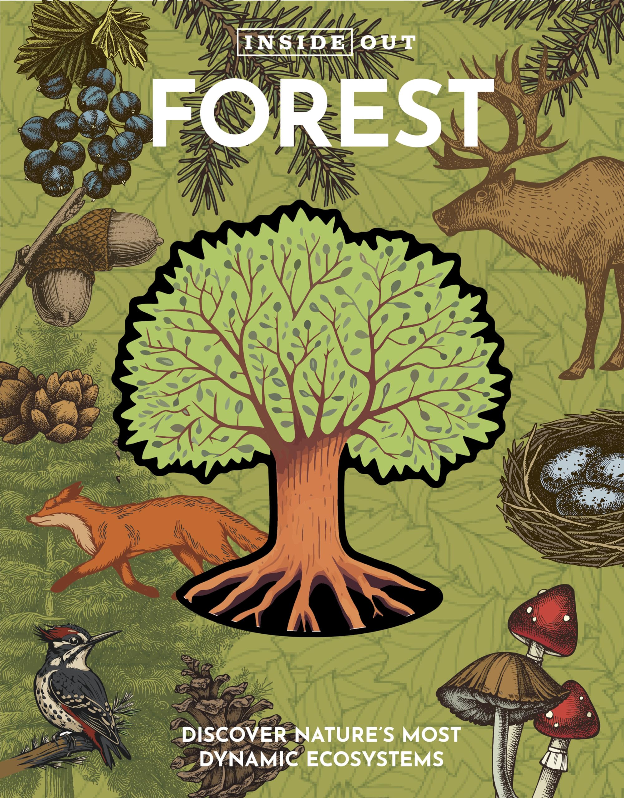 Inside Out Forest: Discover Nature's Most Dynamic Ecosystems (Inside Out, Chartwell)