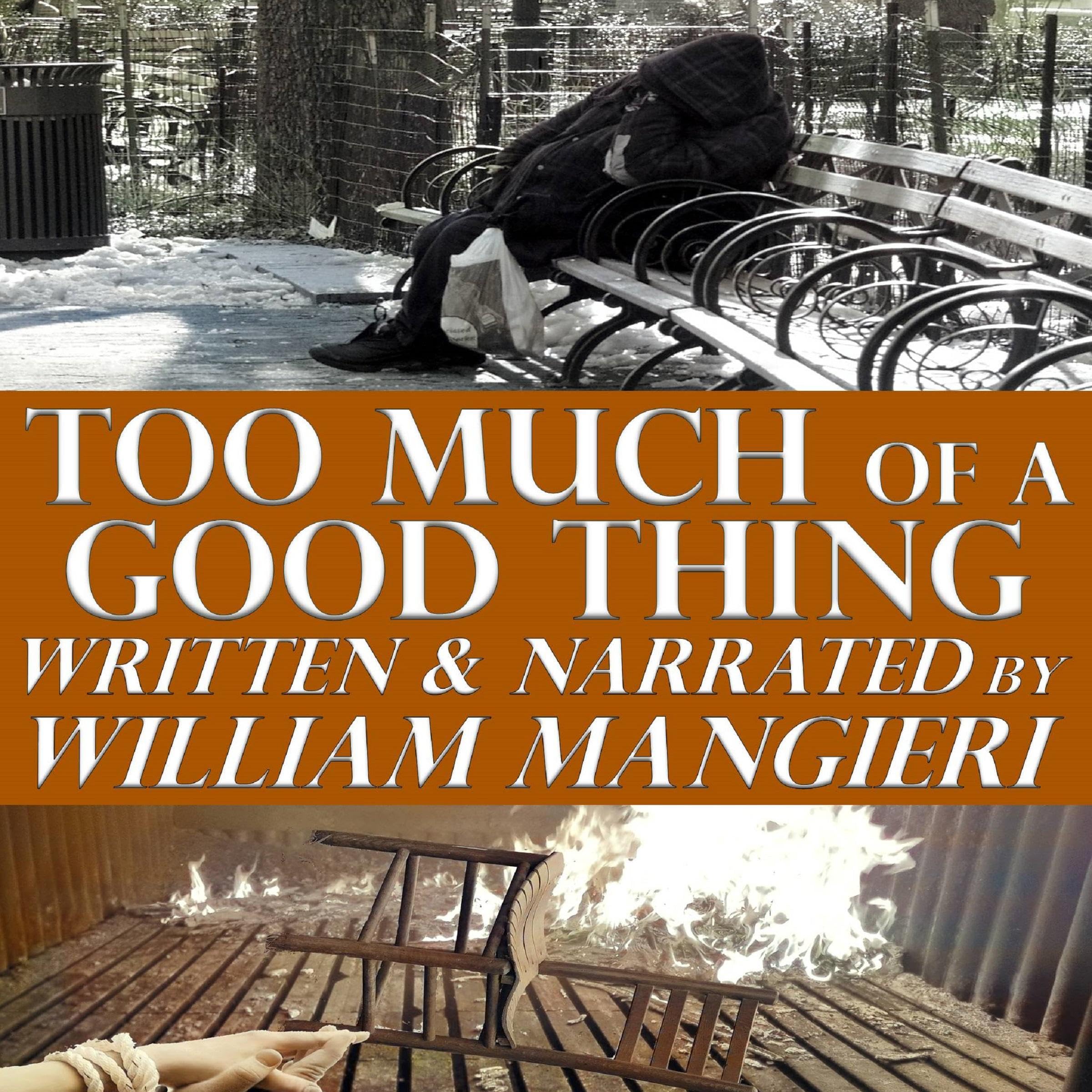 Cover art for Too Much of a Good Thing