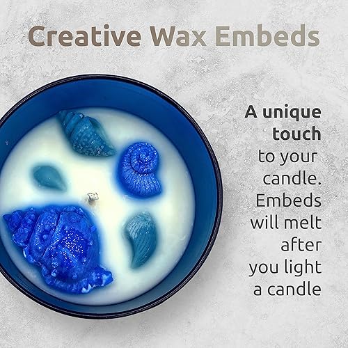 Miniatura 17 de Vela de cera de soja natural hecha en Estados Unidos en tarro de vidrio Velas de soja perfumadas de naranja brasileña de lujo Fresca y alegre