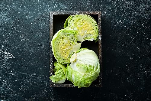 Miniatura 3 de 500 semillas de lechuga iceberg para plantar, semillas de vegetales de primera calidad cultivadas en Estados Unidos sin OMG para plantar jardín en