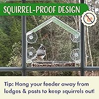 Vista 3 de Window Bird Feeder with Strong Suction Cups, Clear Window Feeders for Outside - Transparent Bird House, Balcony Glass Mount, Acrylic Cat, Kids &