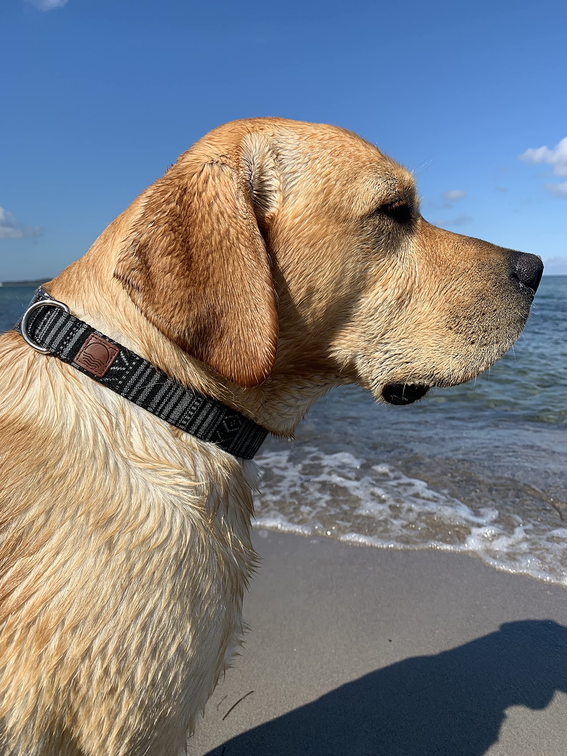 Made by Nami Boho Nylon Dog Collar with Matching Bracelet, Various Sizes Small & Large Dogs, Adjustable - Image 2