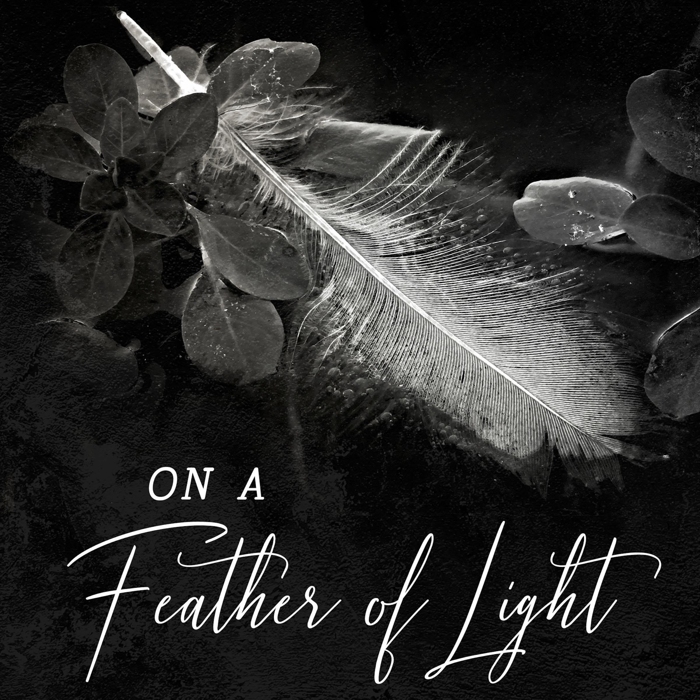 On a Feather of Light: New & Selected Poems
