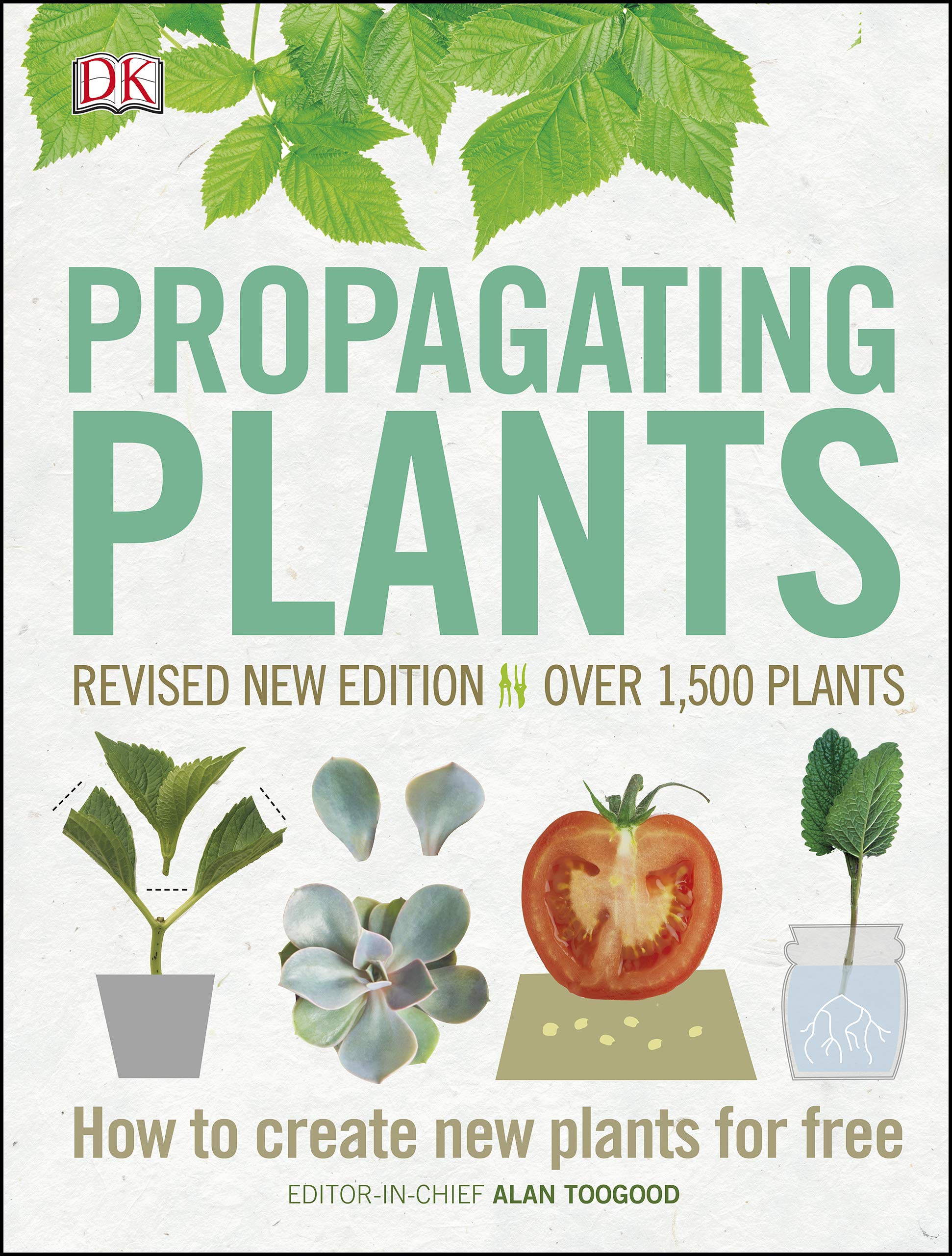 Propagating Plants: How to Create New Plants for Free