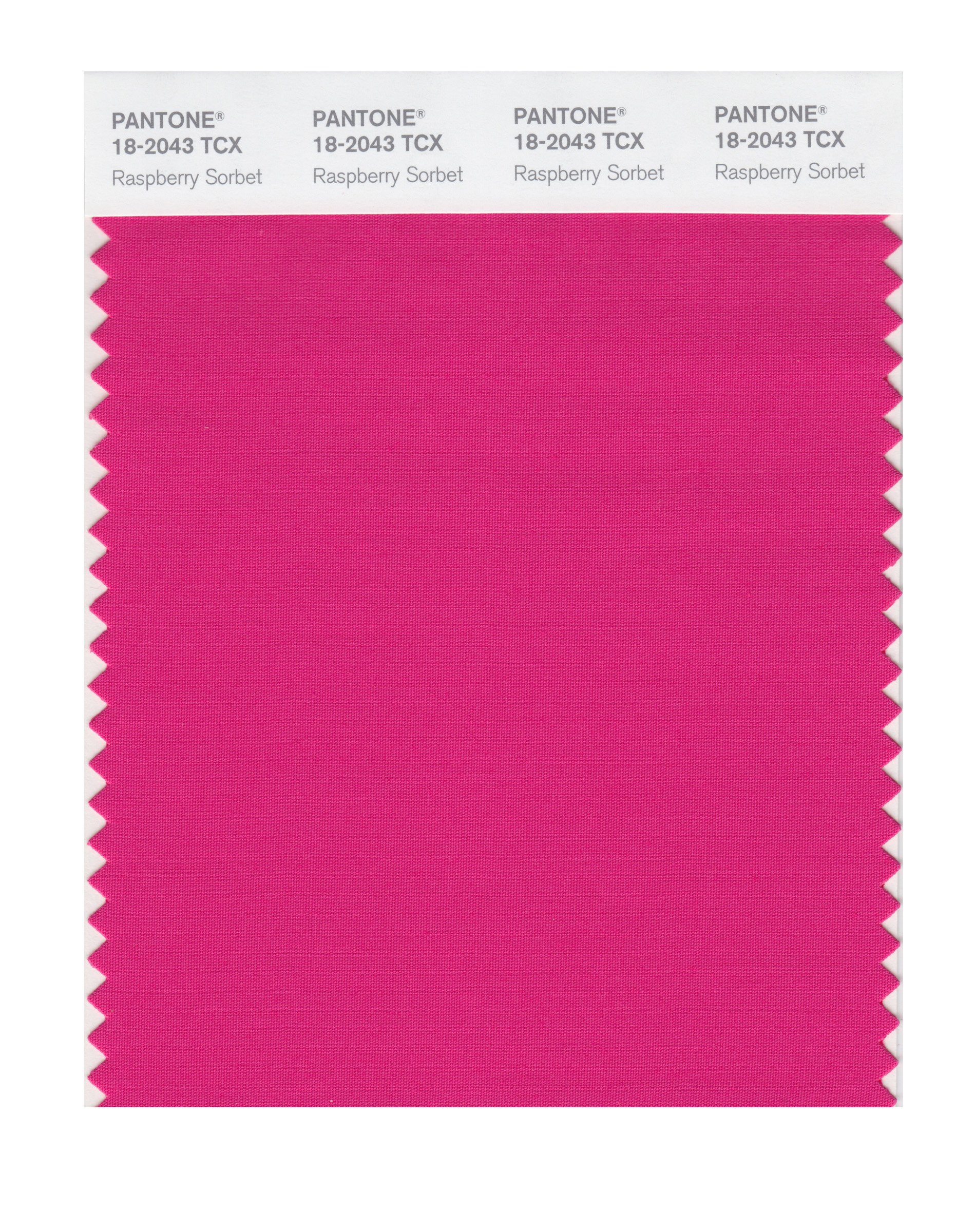 PANTONE Smart 18-2043X Color Swatch Card, Raspberry Sorbet - House