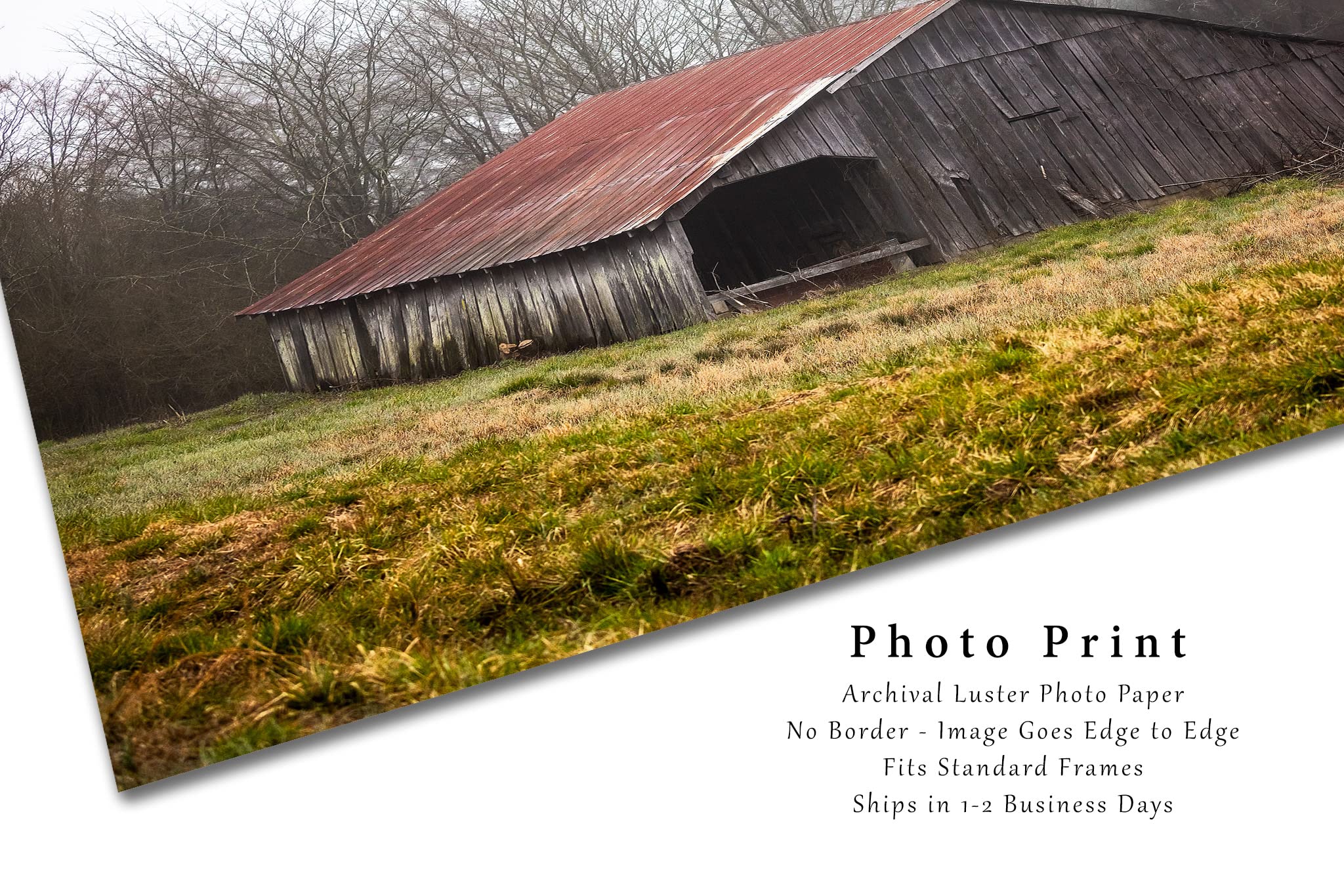 Country Photography Print (Not Framed) Picture of Rustic Barn with Rusted Tin Roof on Foggy Spring Day in Arkansas Farm Wall Art Farmhouse Decor (24