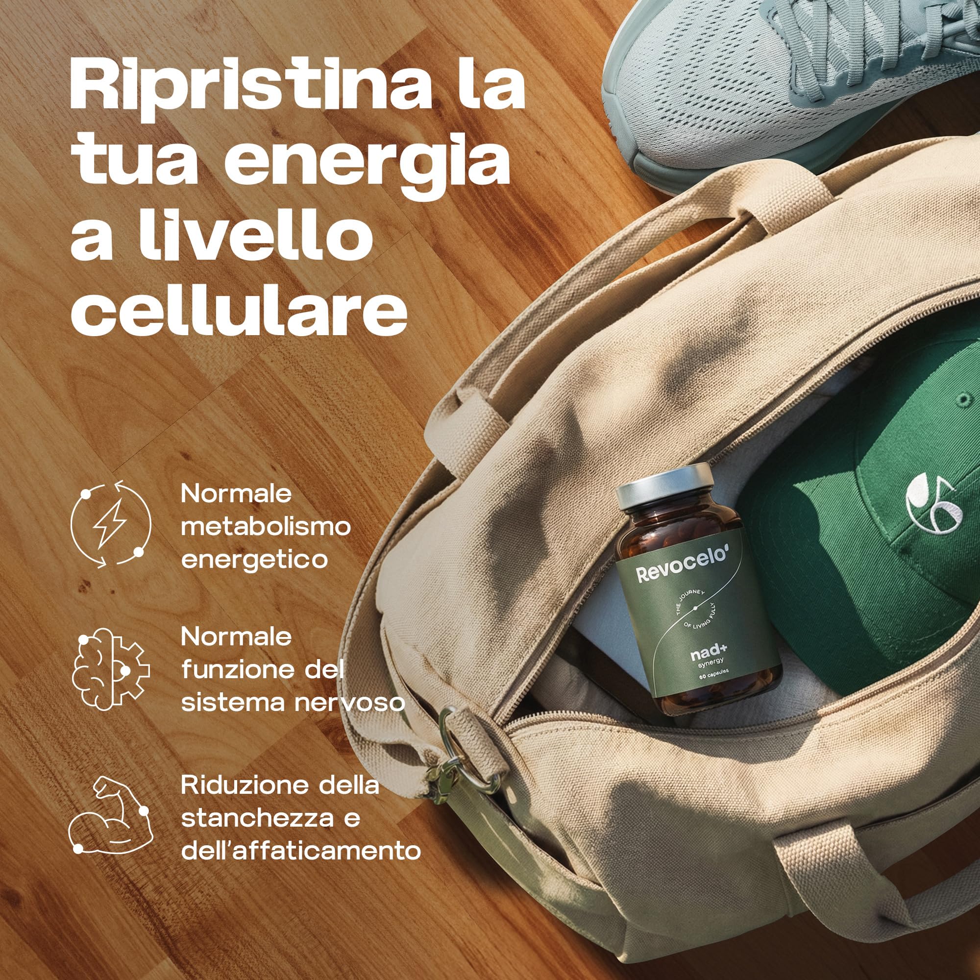 NAD+ Synergy – NAD liposomiale per l’invecchiamento in salute, 300 mg di NR con apigenina liposomiale, TMG e vitamina C, scorta per 2 mesi, Prodotto in UE