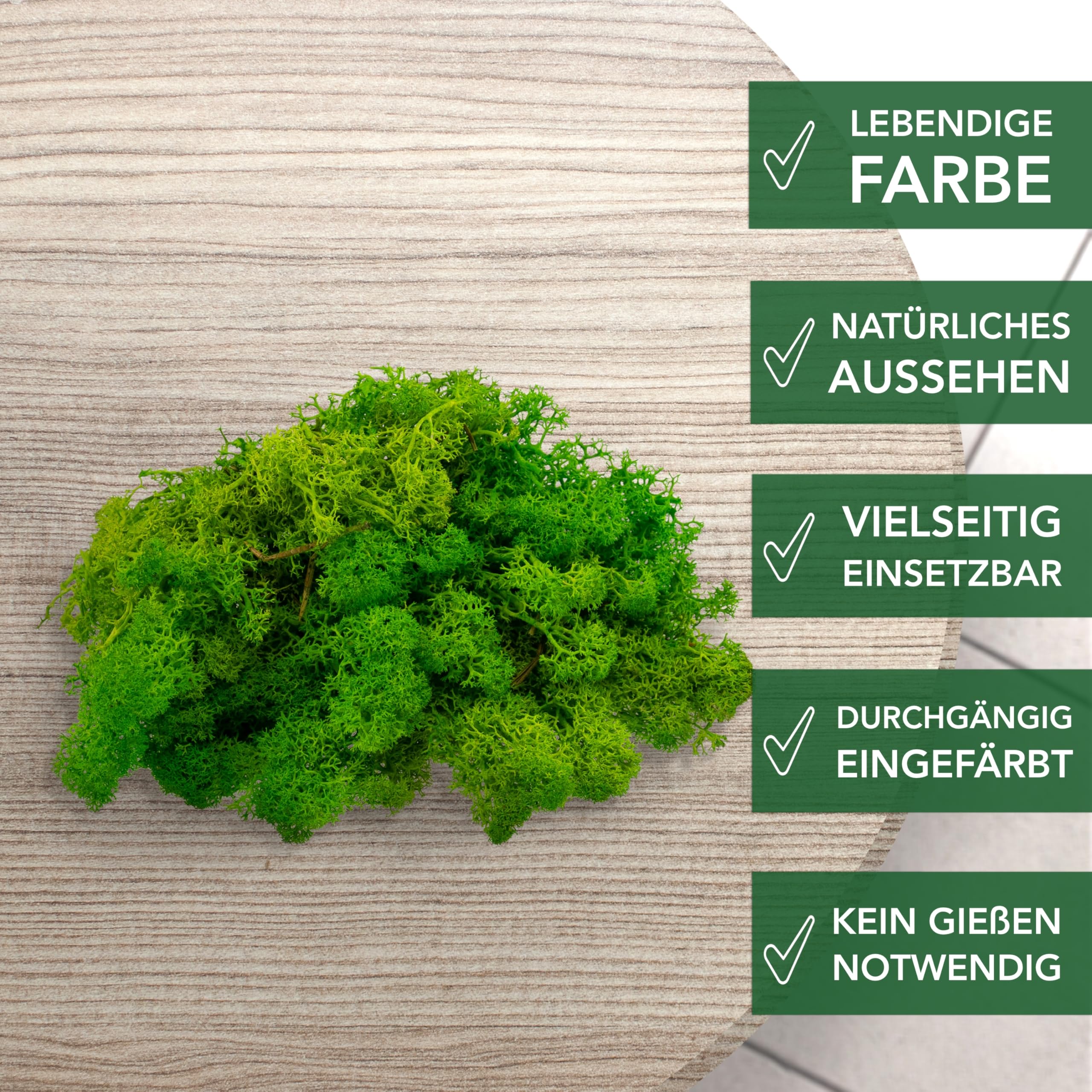 Sphagnum-Shop Islandmoos Rentierflechte konserviertes Moos in Hellgrün 1000 g | Echtes buntes Deko Moos für Moosbild Modellbau Basteln