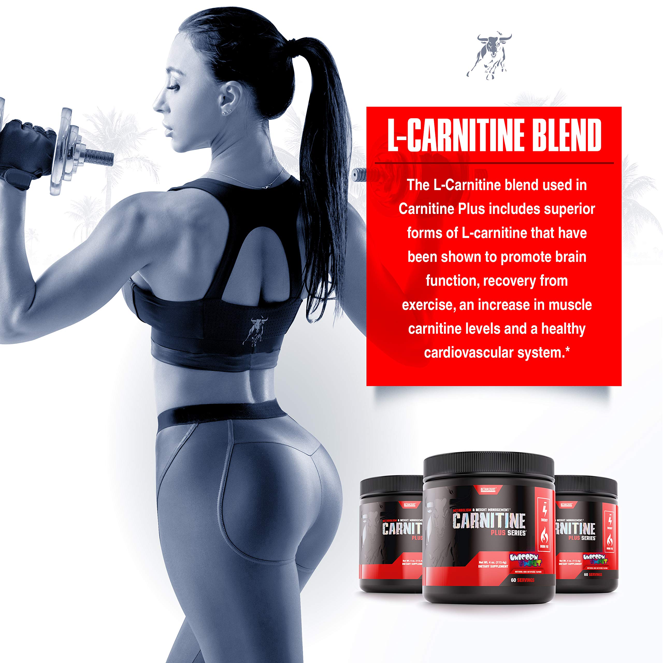 l carnitine vs acetyl l carnitine for weight loss l carnitine or acetyl l carnitine for weight loss Buy Acetyl-L-Carnitine  (500mg)