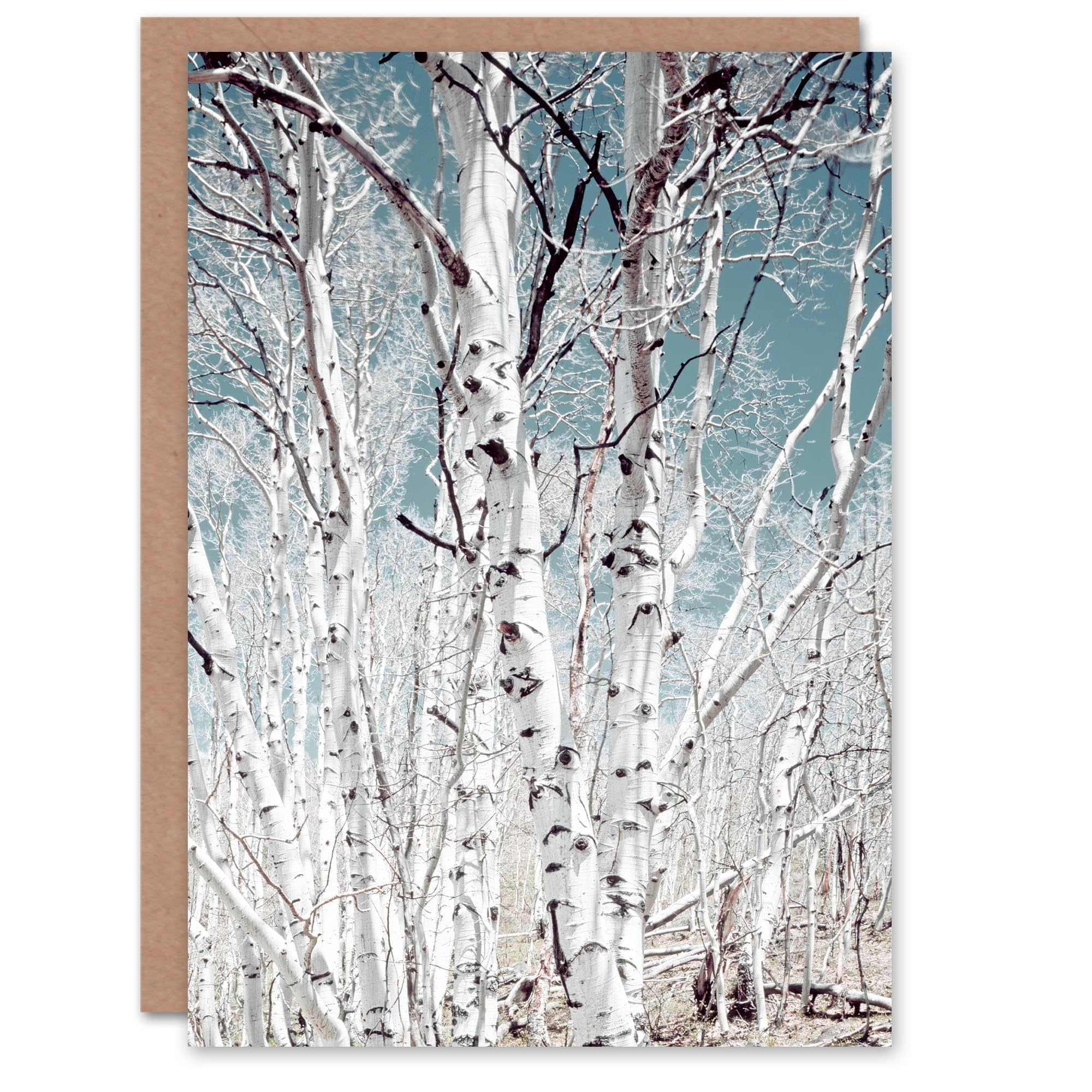 Artery8 Carol M Highsmith Art Card Birch Trees in Utah Photograph