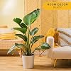 Product Photo 2