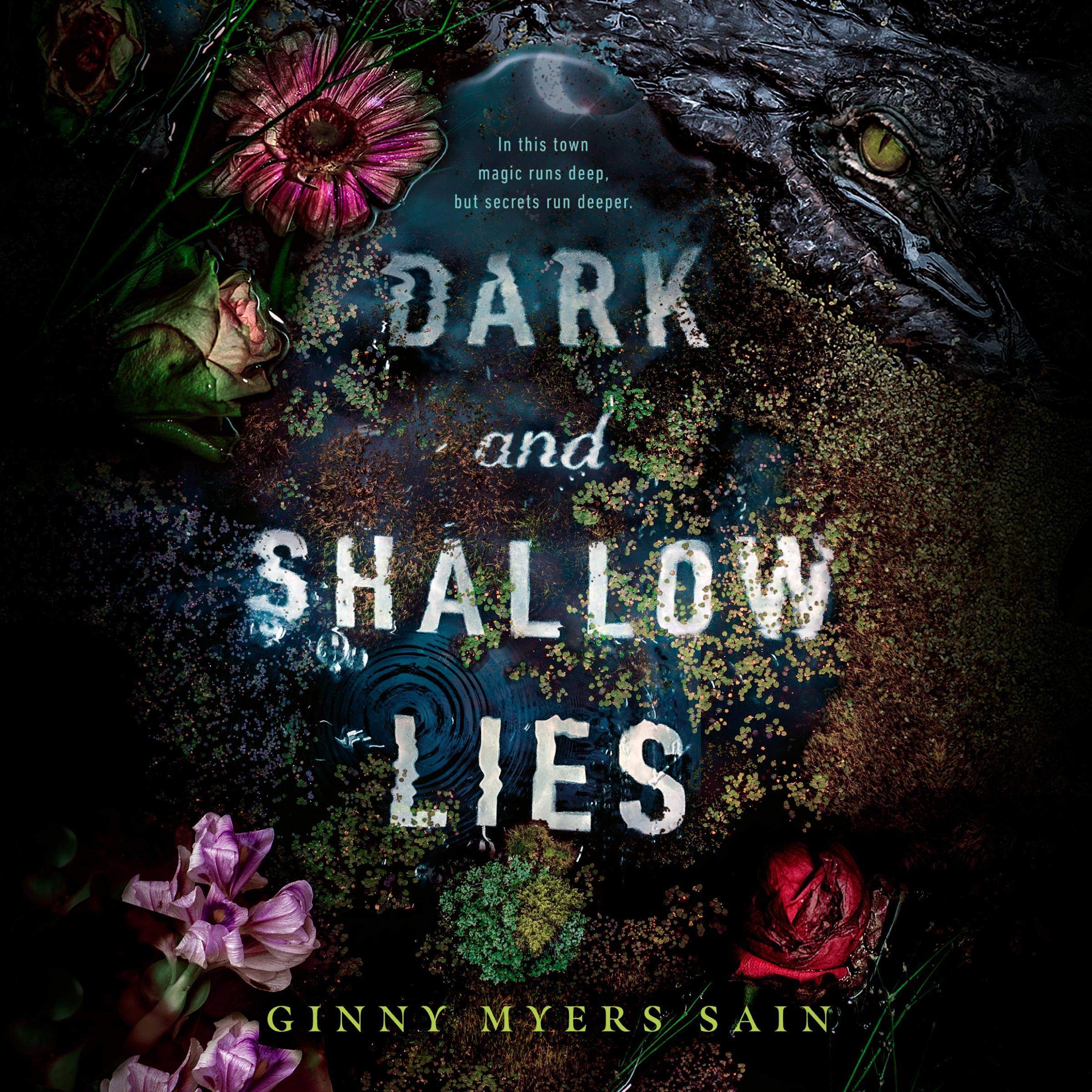 Cover art for Dark and Shallow Lies