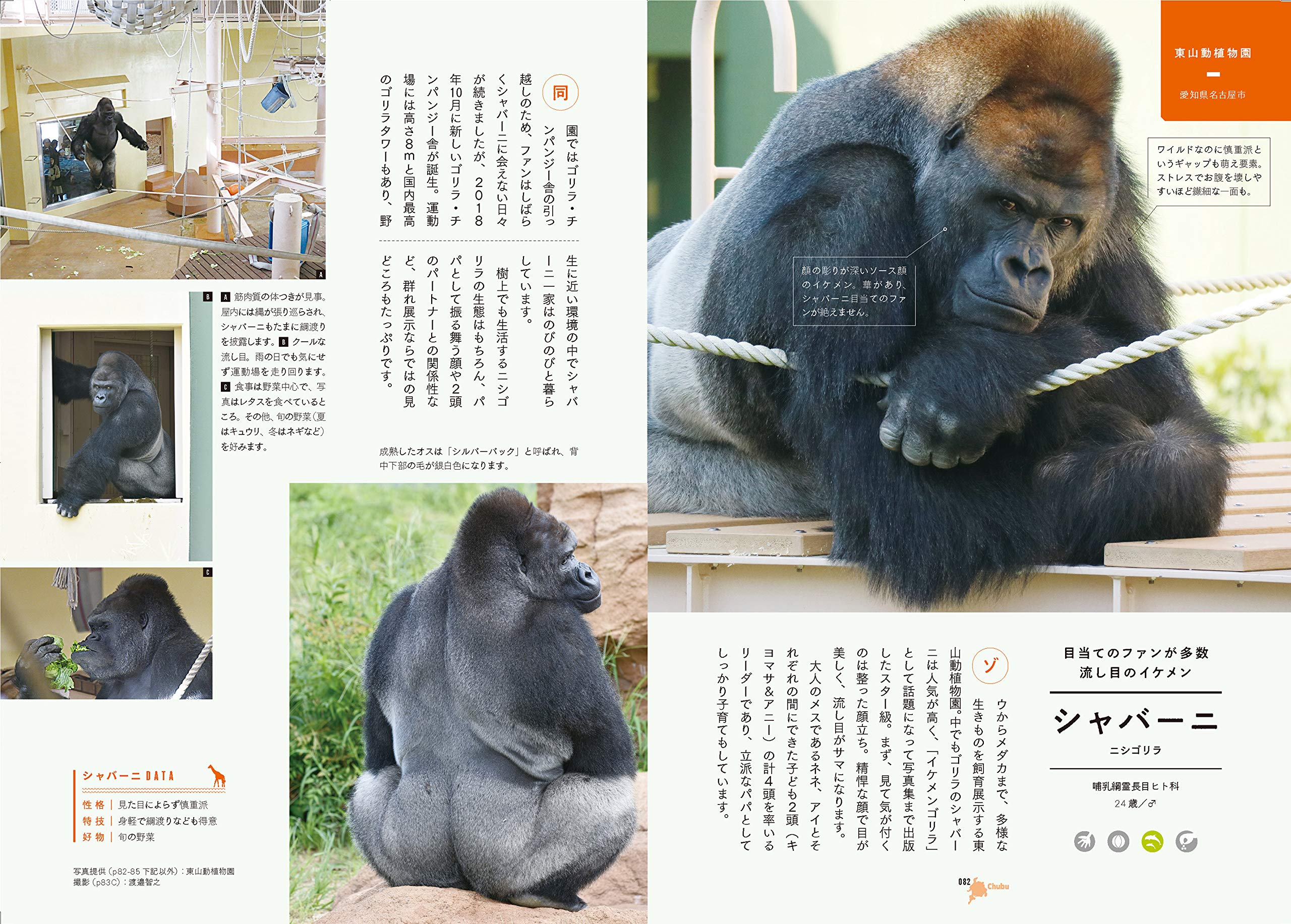 Amazon Co Jp 動物園めぐり Japanese Books