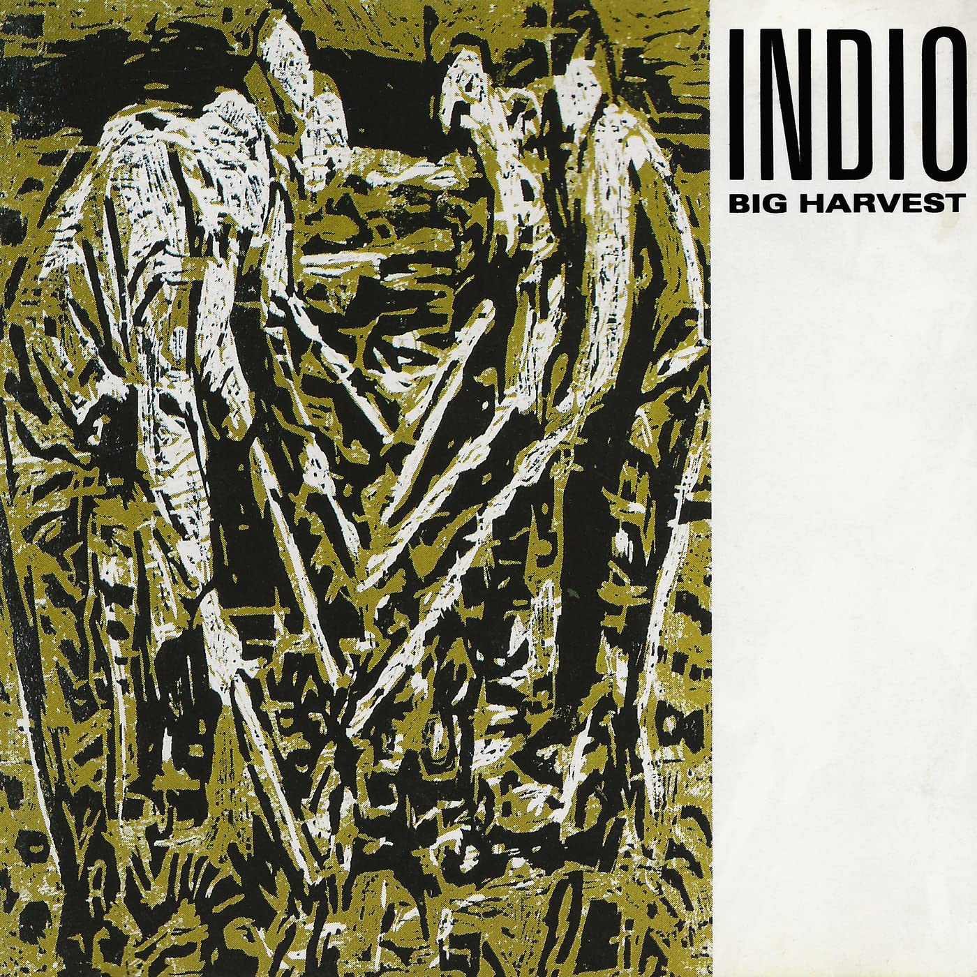 Indio