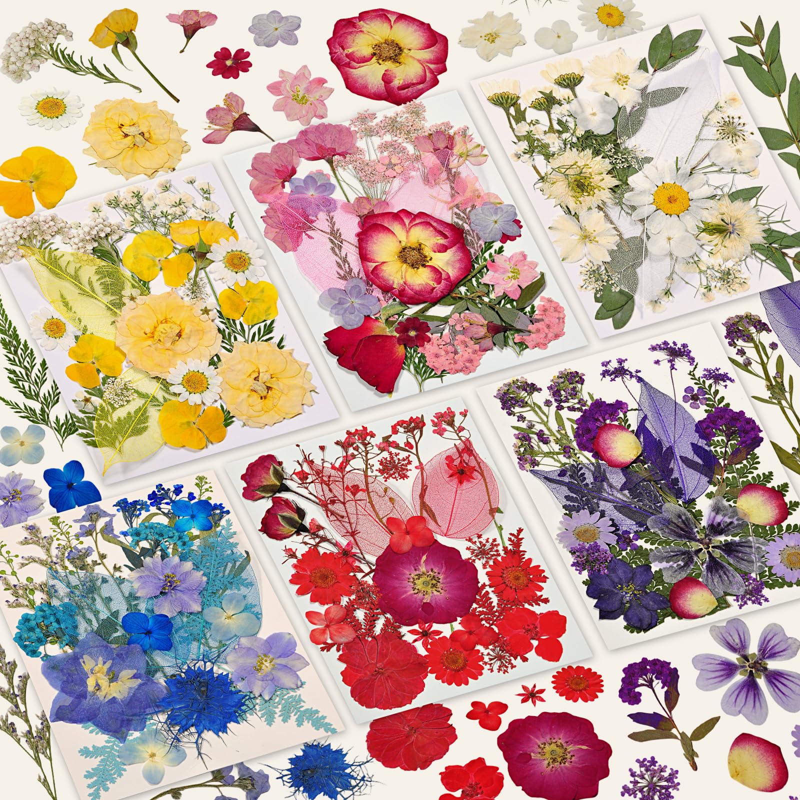 150 Pcs Dried Pressed Flowers for Resin
