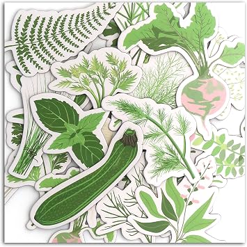 Toga Oh My, Green Pack of 20 Forms Card, 7 x 7 x 0.3 cm, Green