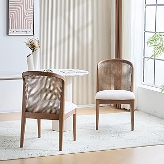 Christopher Knight Home Lilia Dining Chairs Set of 2, Modern Dining Chai...